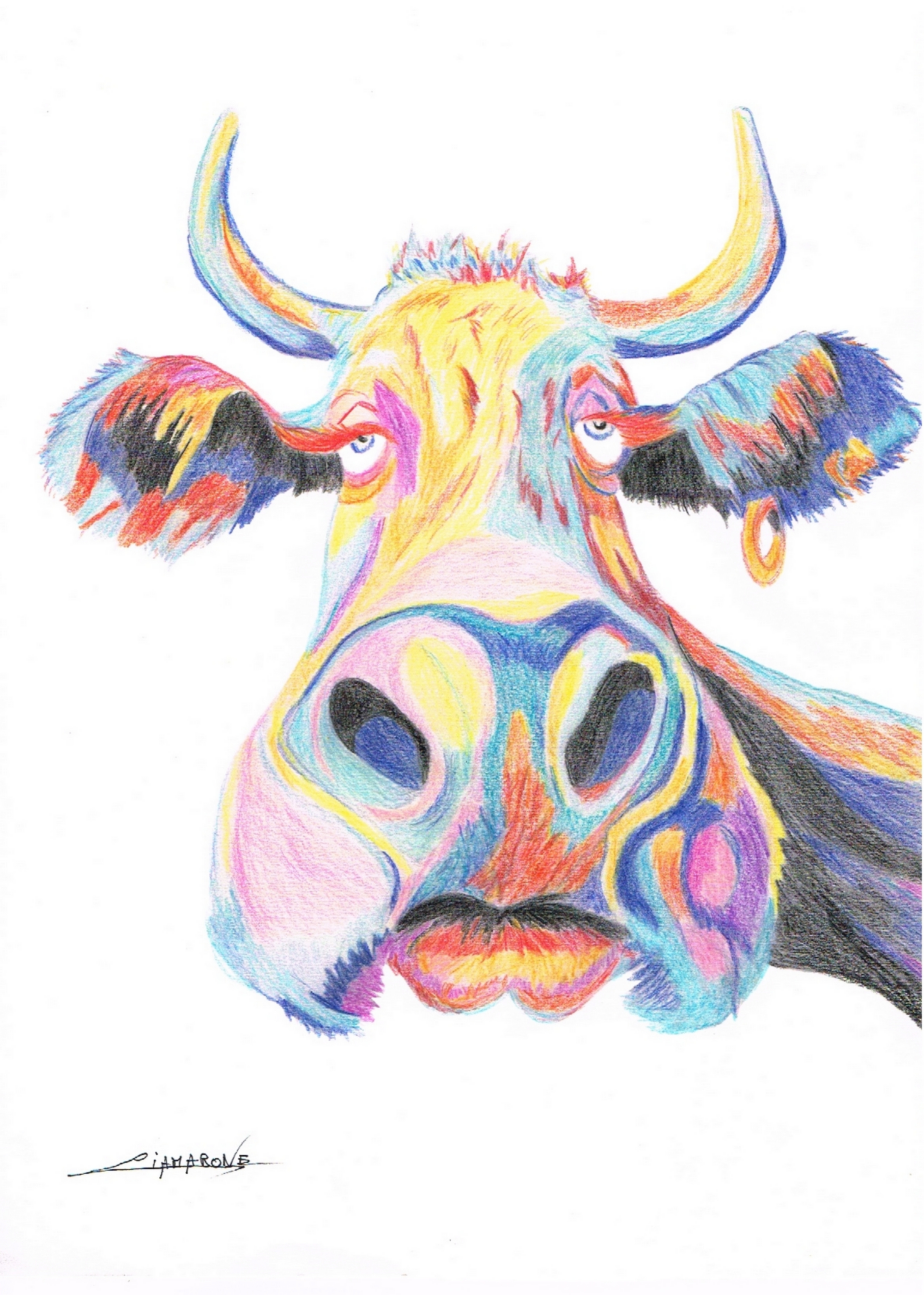 Dessin pop art "portrait de vache"