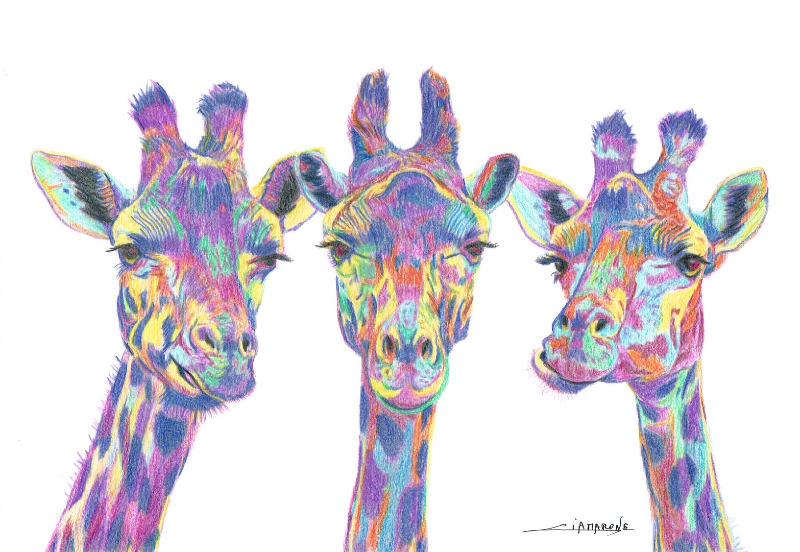 Dessin pop art "les 3 giraffons"