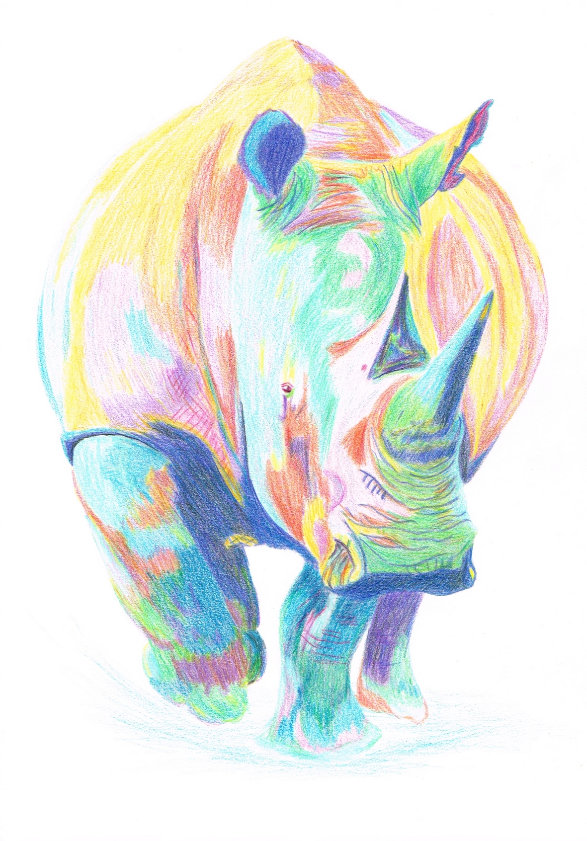 Dessin pop art "Rhino Féroce"