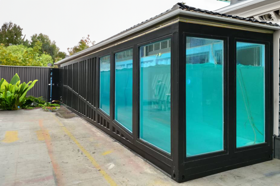 Beat the Heat: Dive into Summer with Our Affordable and Low-Maintenance Shipping Container Pool System