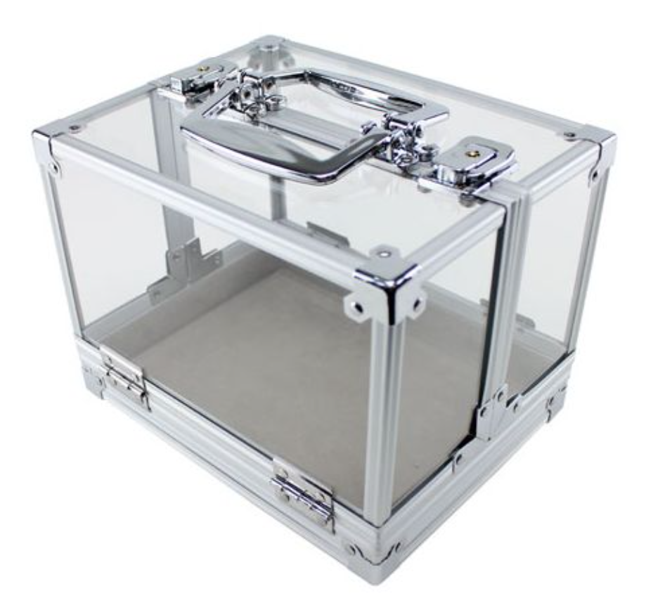 600pc 2-Tone Monte Carlo Chip Set-With Case 