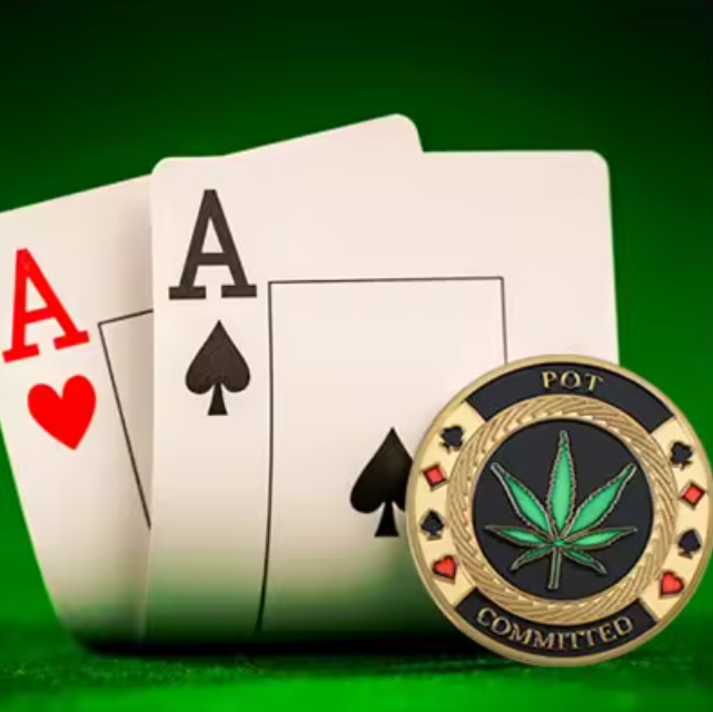 #29 Pot Committed Metal Card Guard (Clear Cover Included)