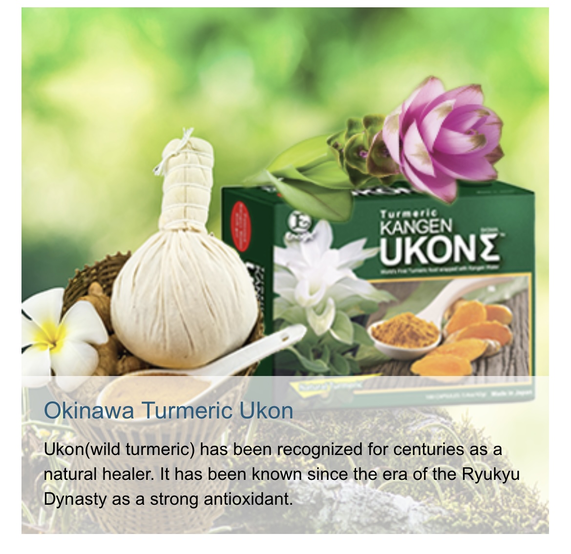 Ukon DD Turmeric Supplement