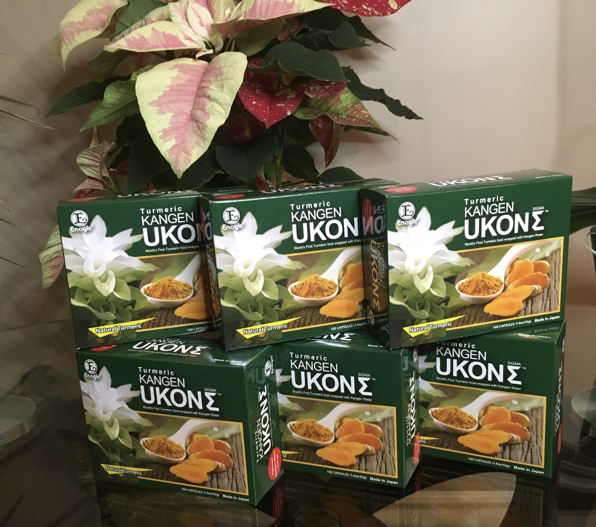 Ukon DD Turmeric Supplement
