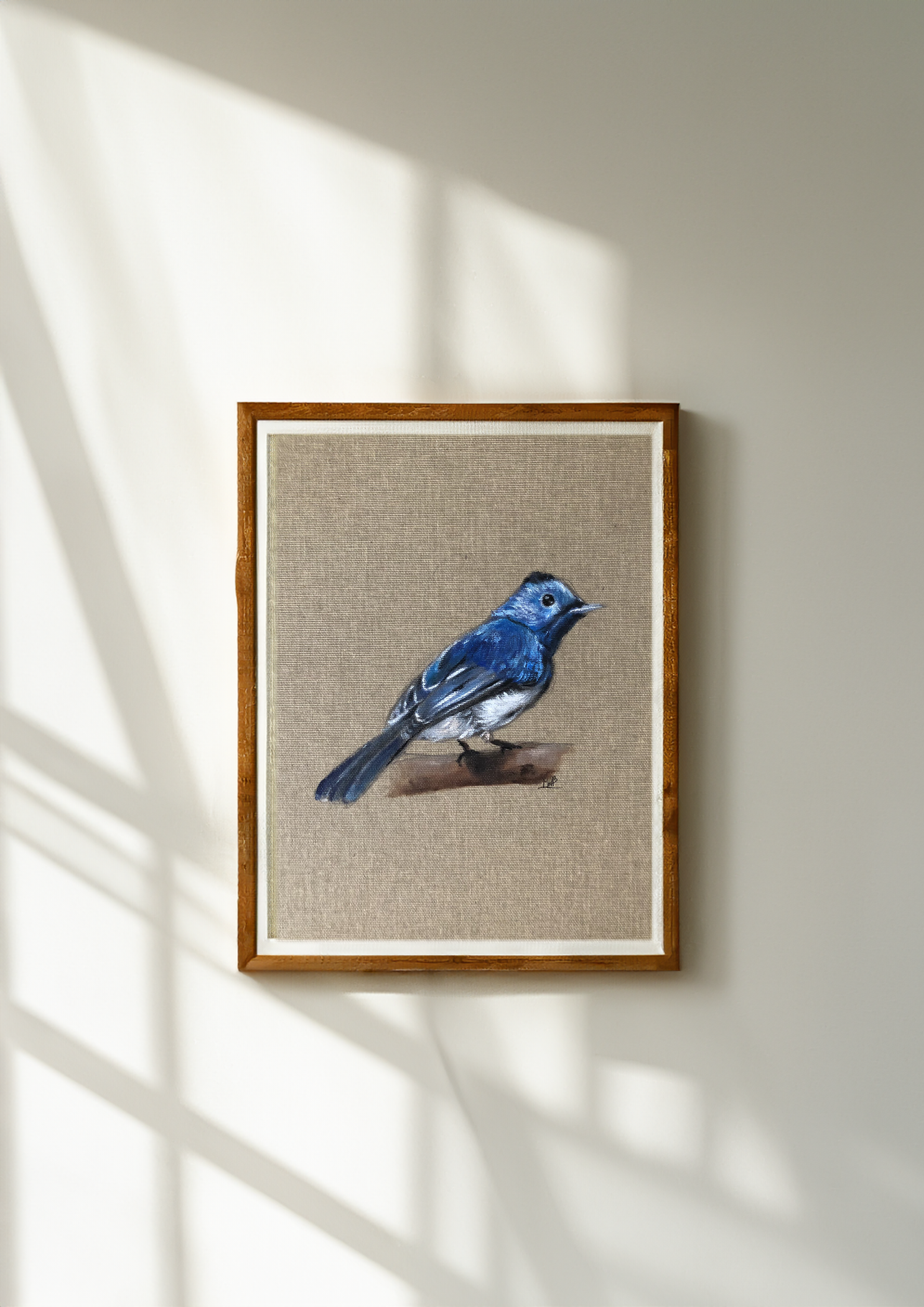 Gobe-mouche irisé sur sa branche