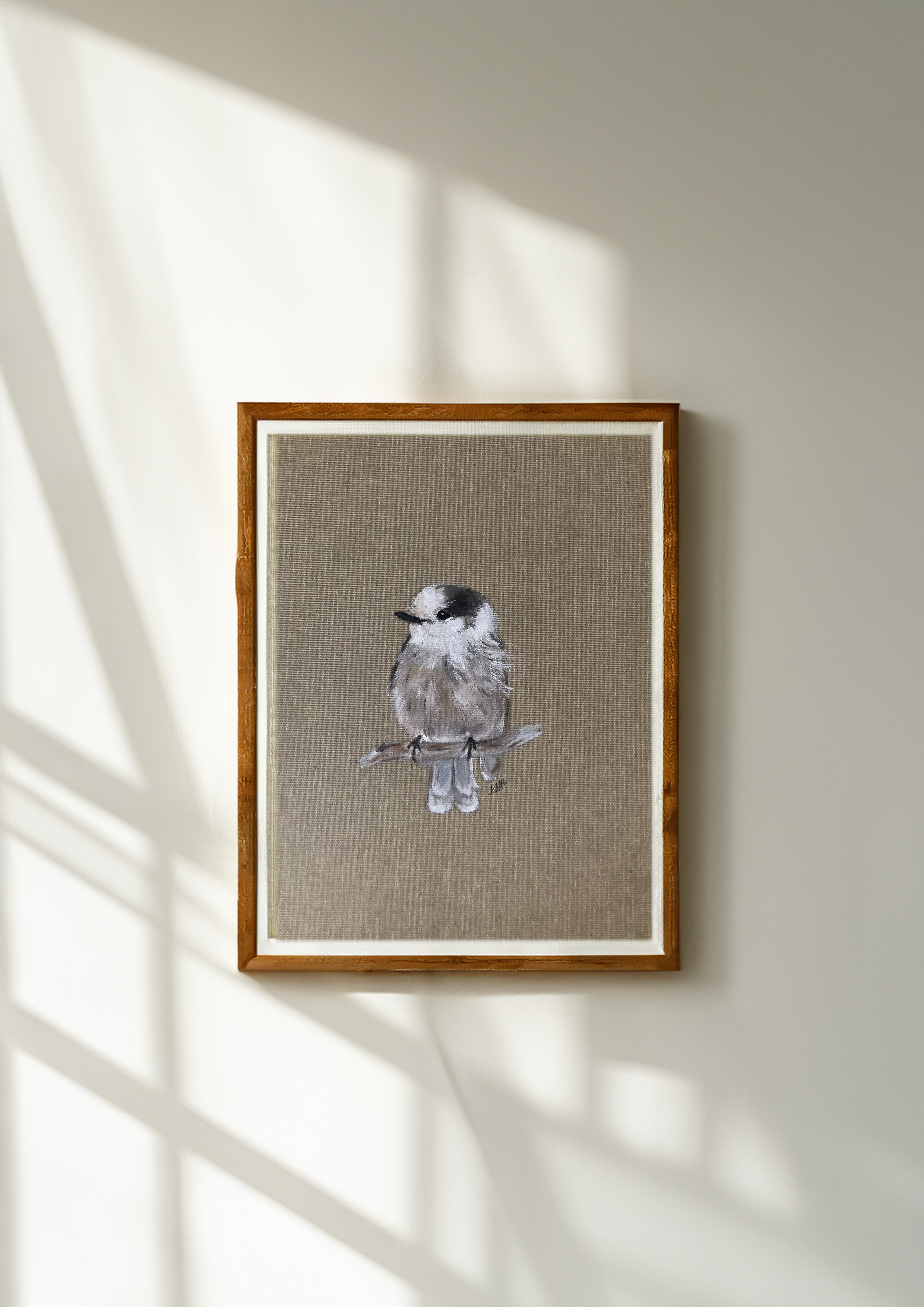 Mésangeai du Canada sur sa branche