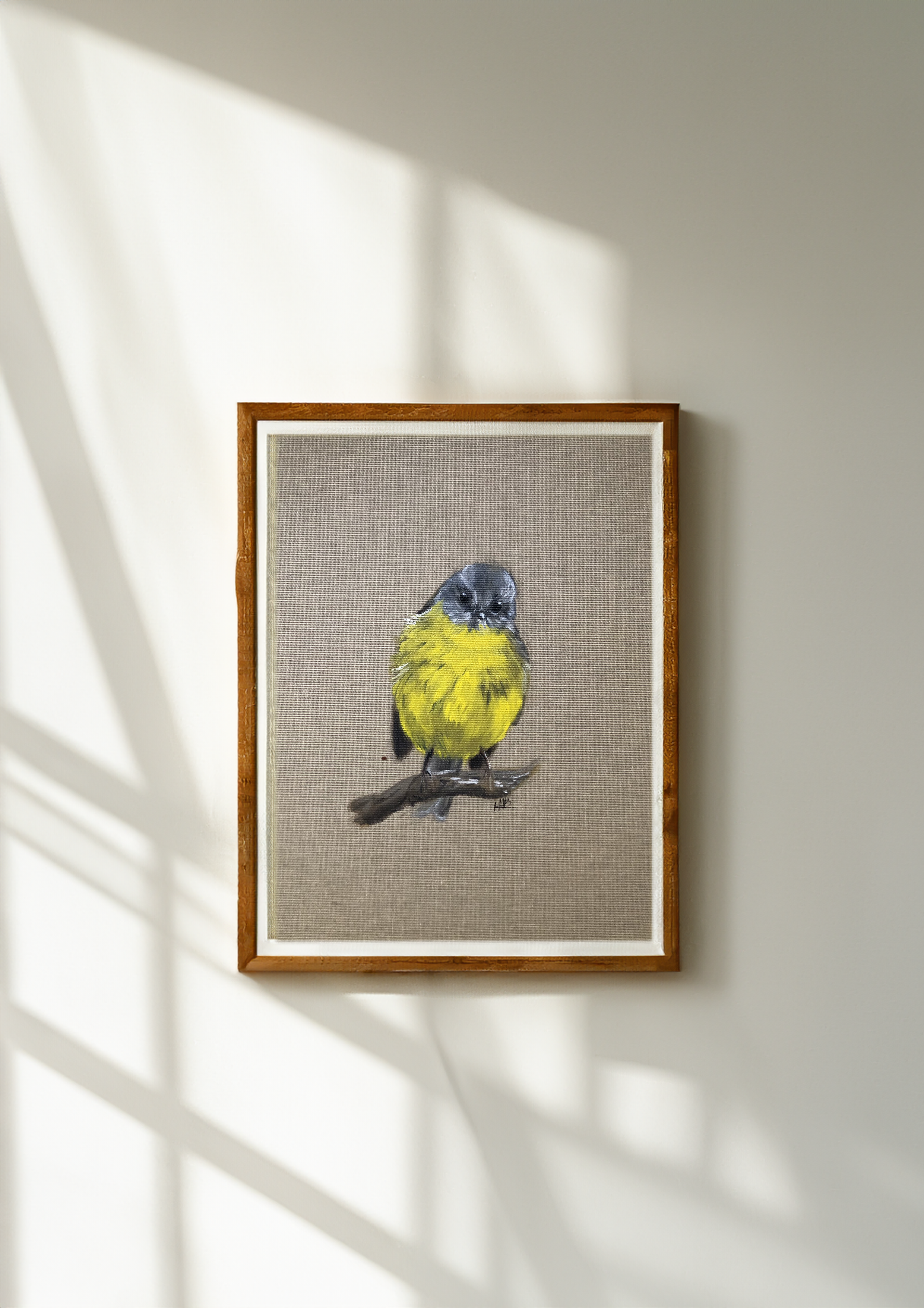 Miro à ventre jaune sur sa branche