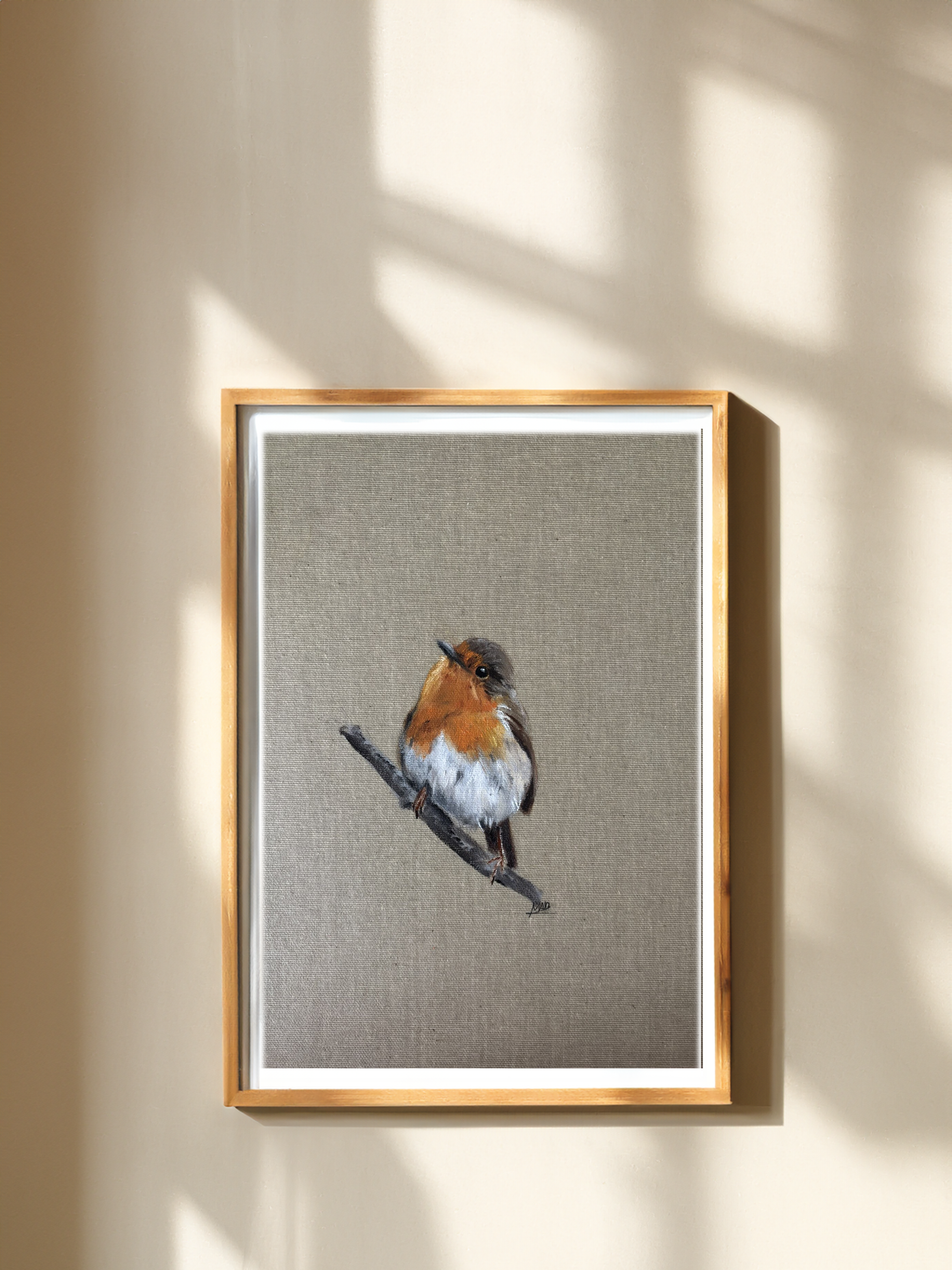 Rouge-gorge intrigué