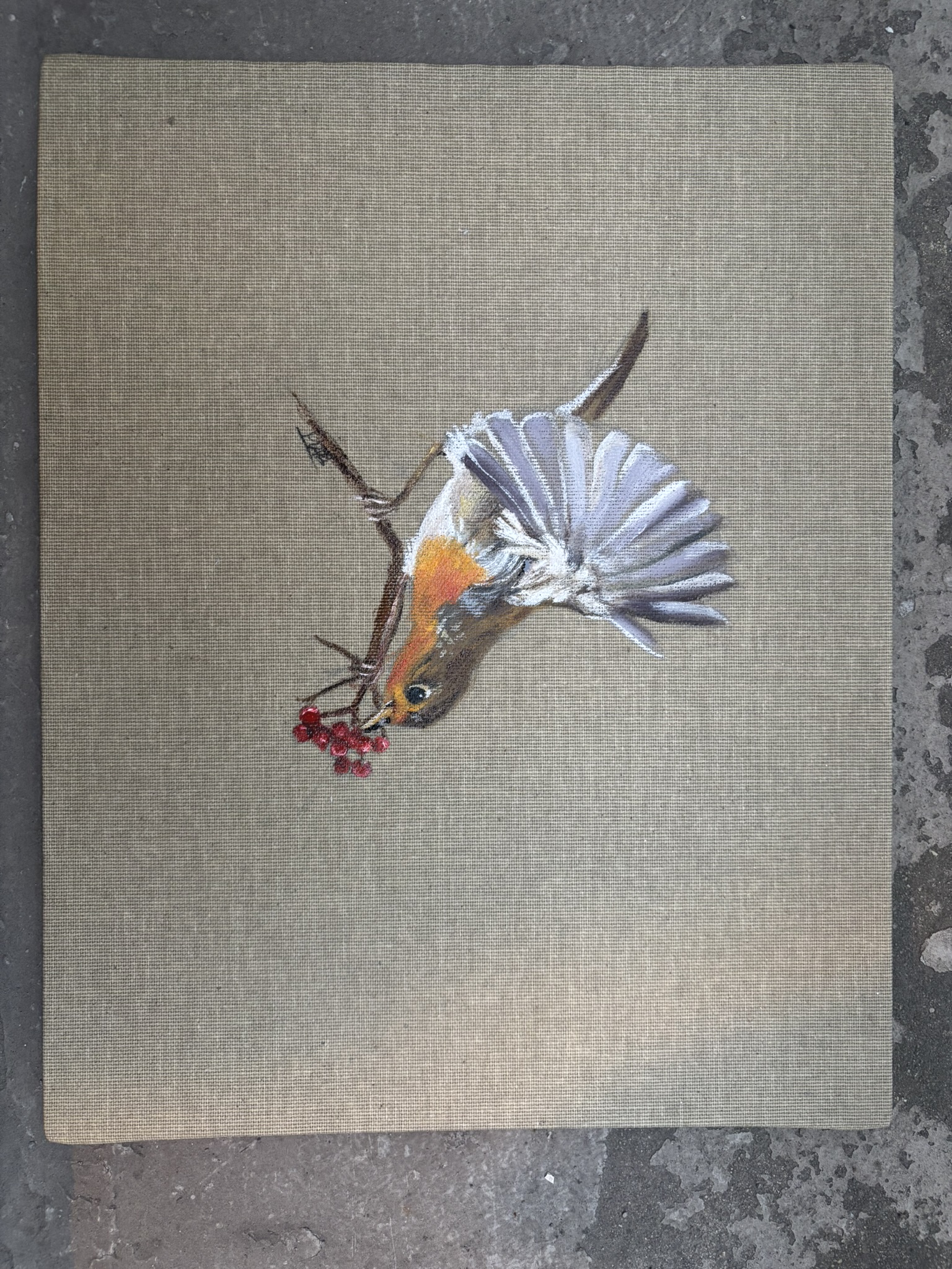 Rouge-gorge aux baies