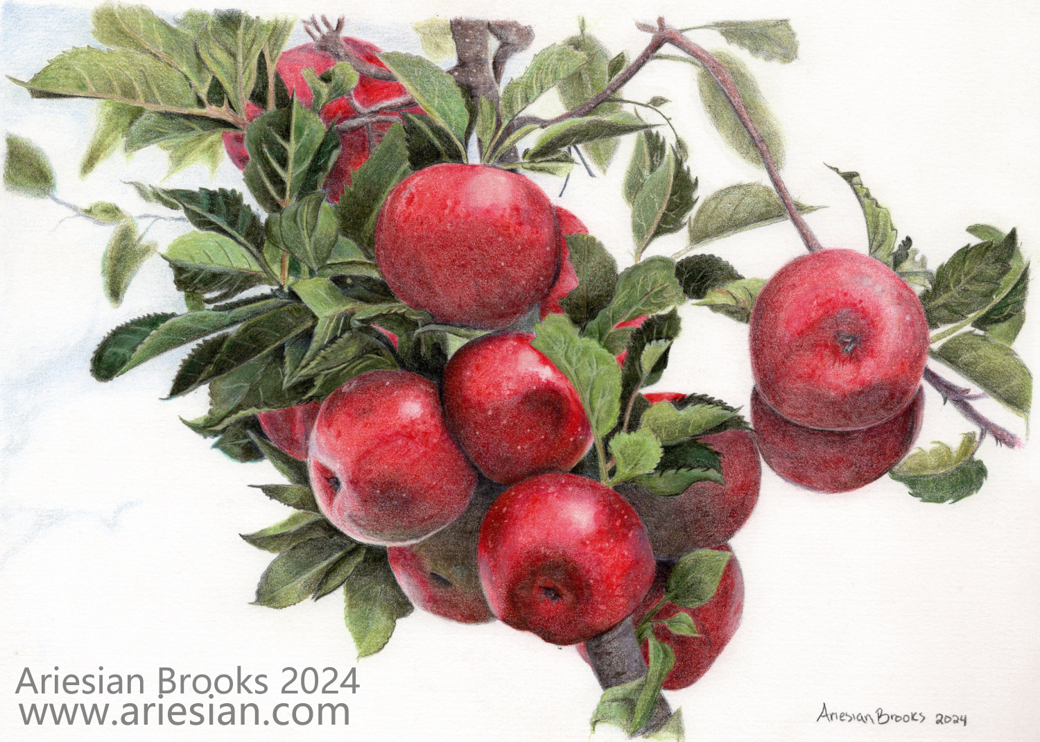Apple Bough - Original Artwork