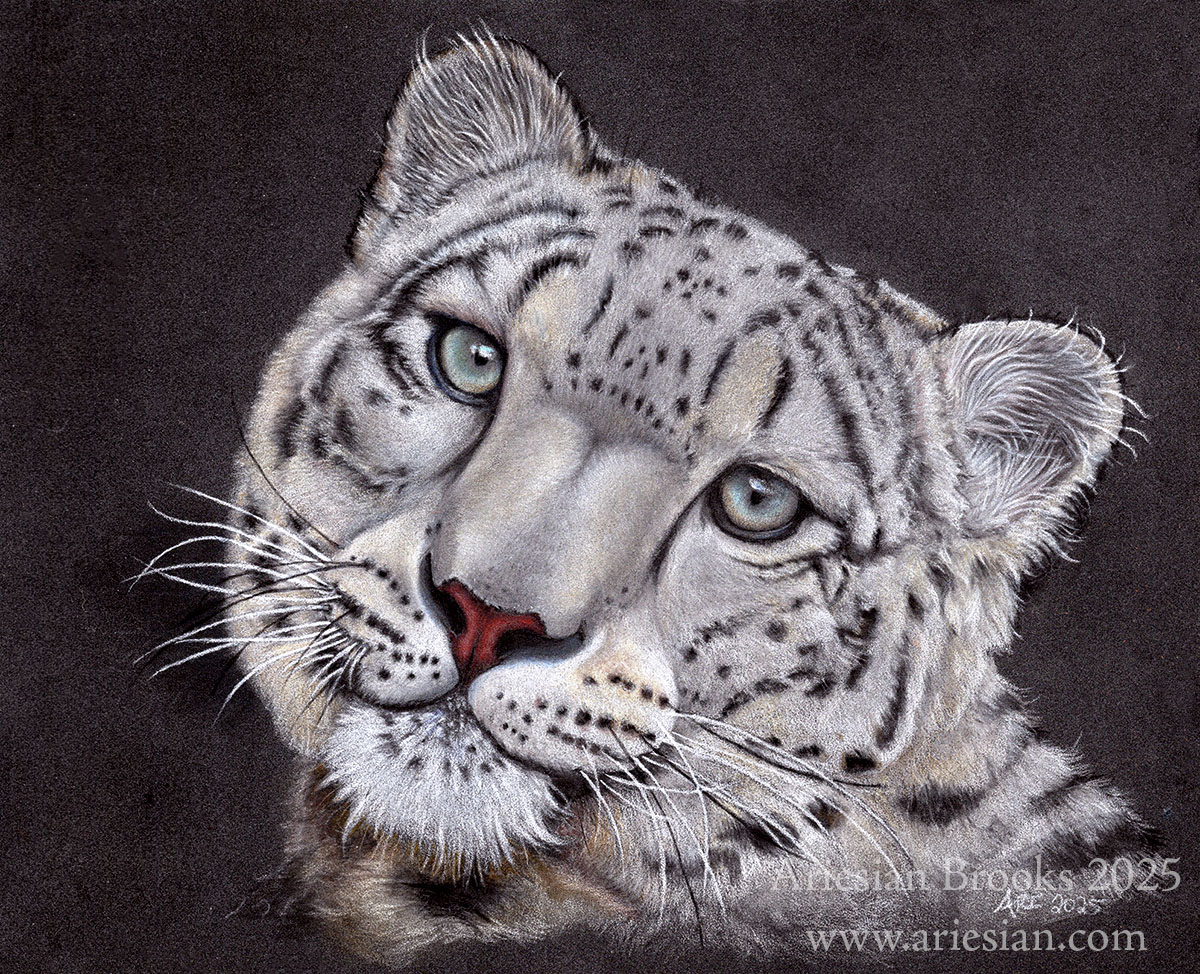 Snow Leopard - Original Artwork