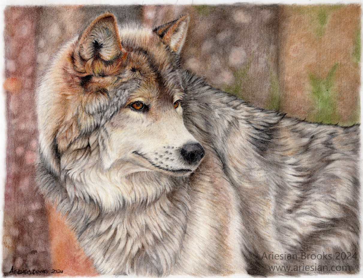 Timber Wolf - Print
