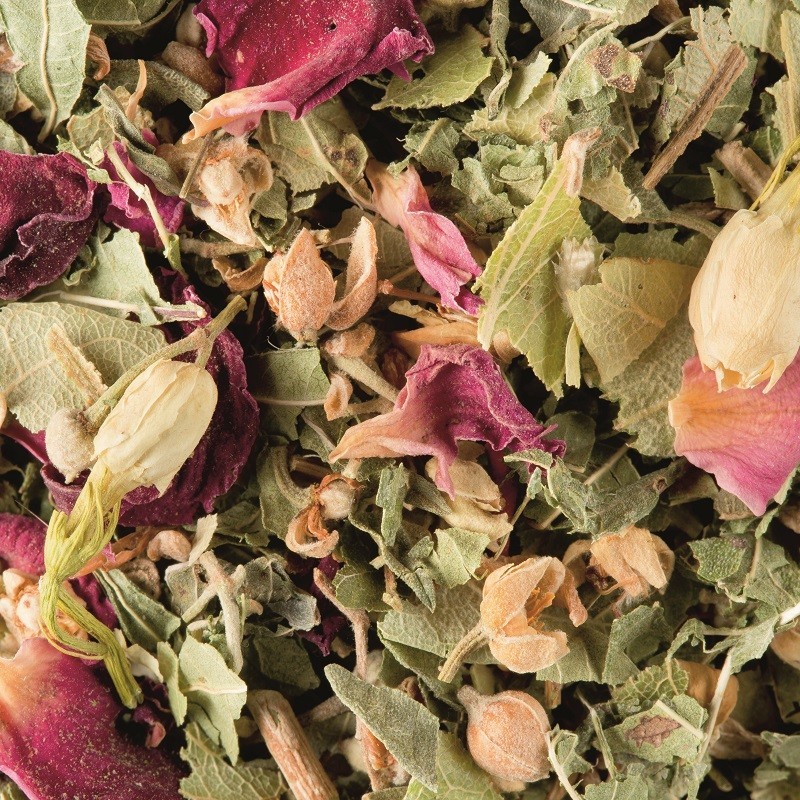 TISANA BALI N°426