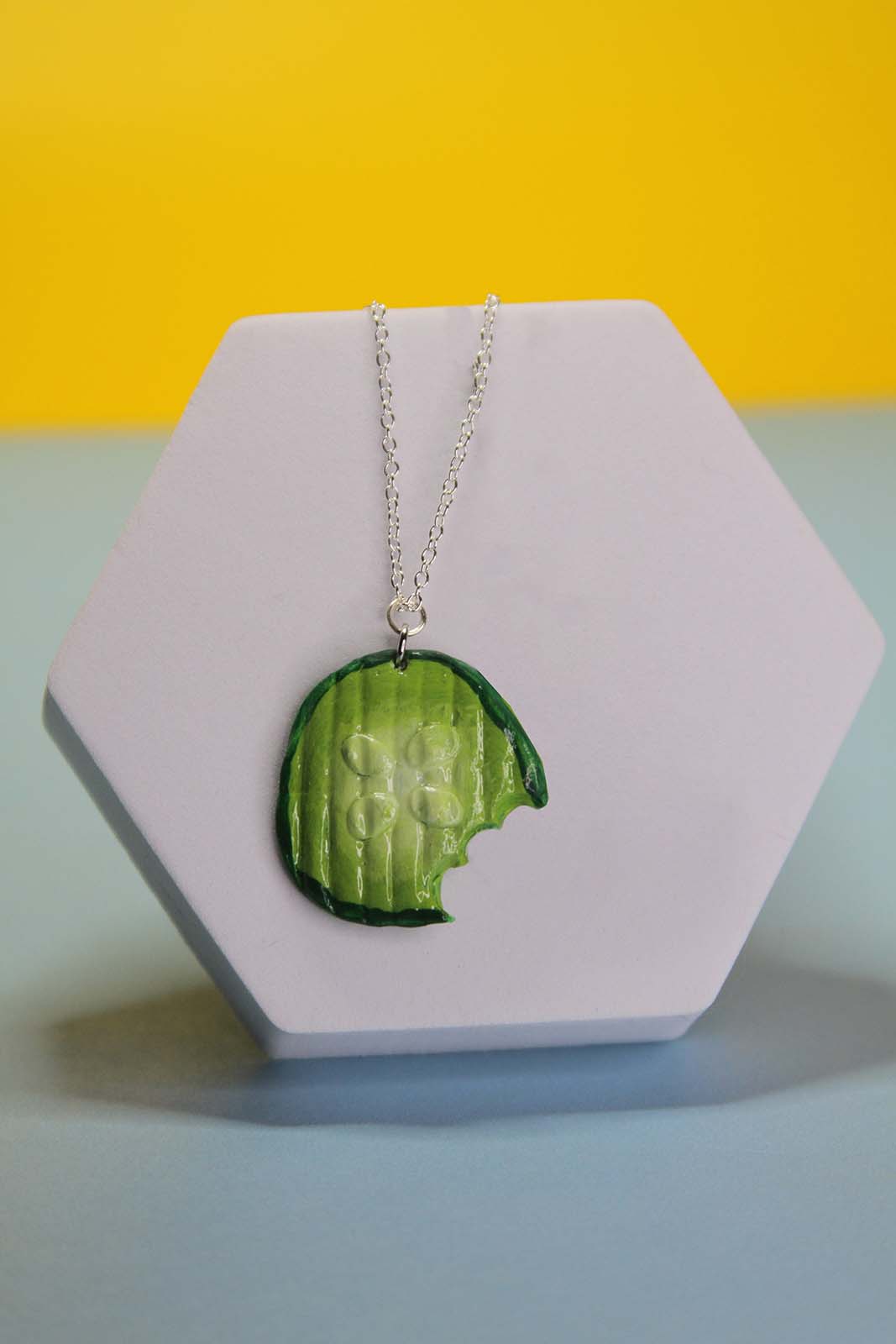 Pickle Friendship Necklace Set 