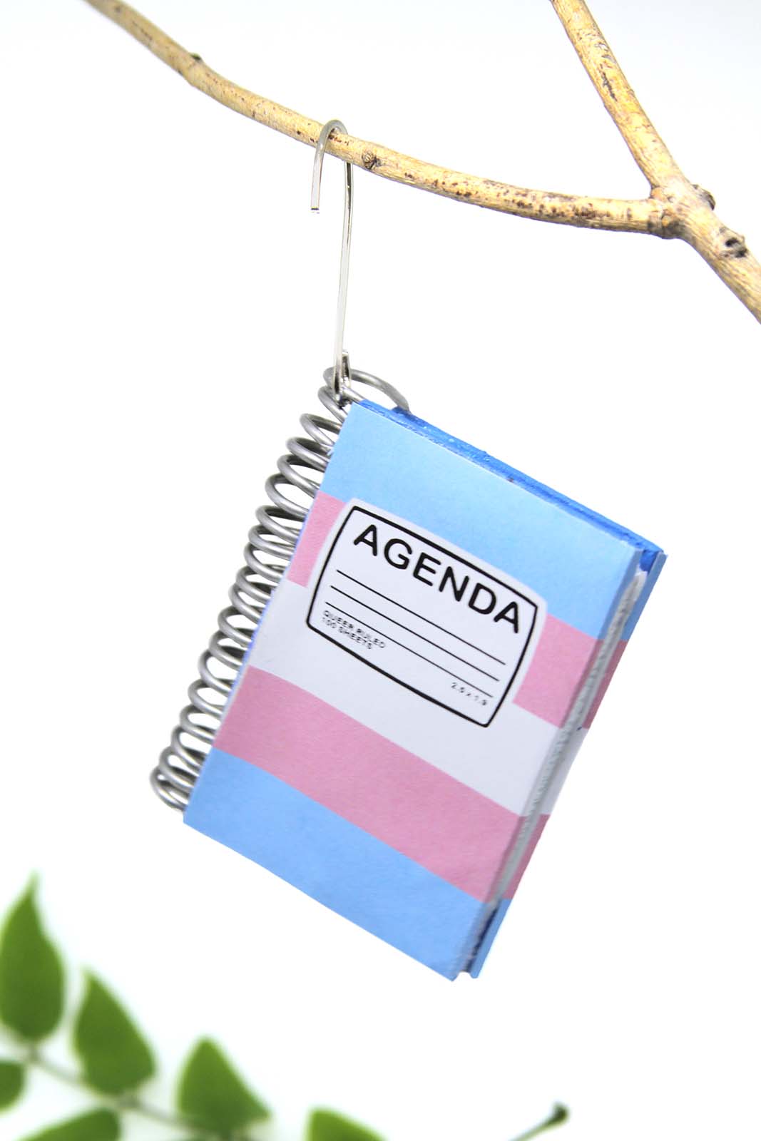 Trans Agenda Ornament 