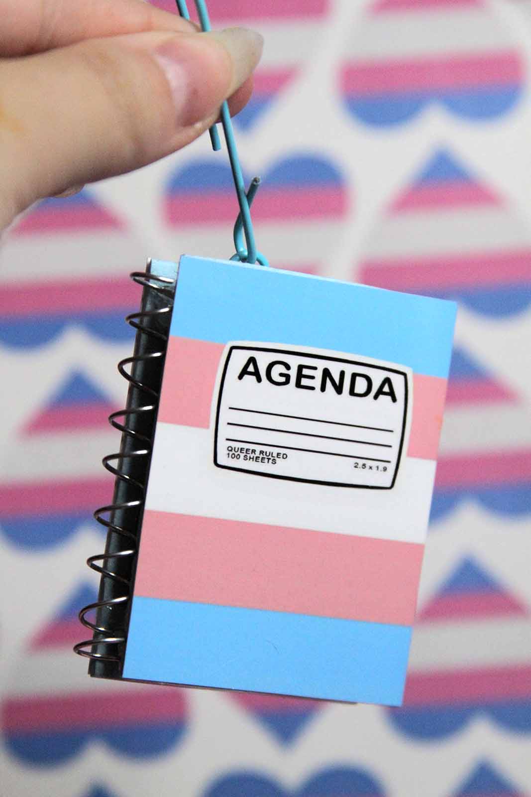 Trans Agenda Ornament 
