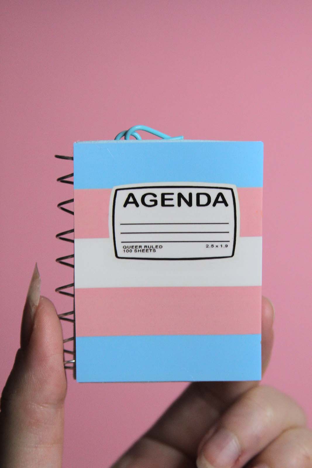 Trans Agenda Ornament 