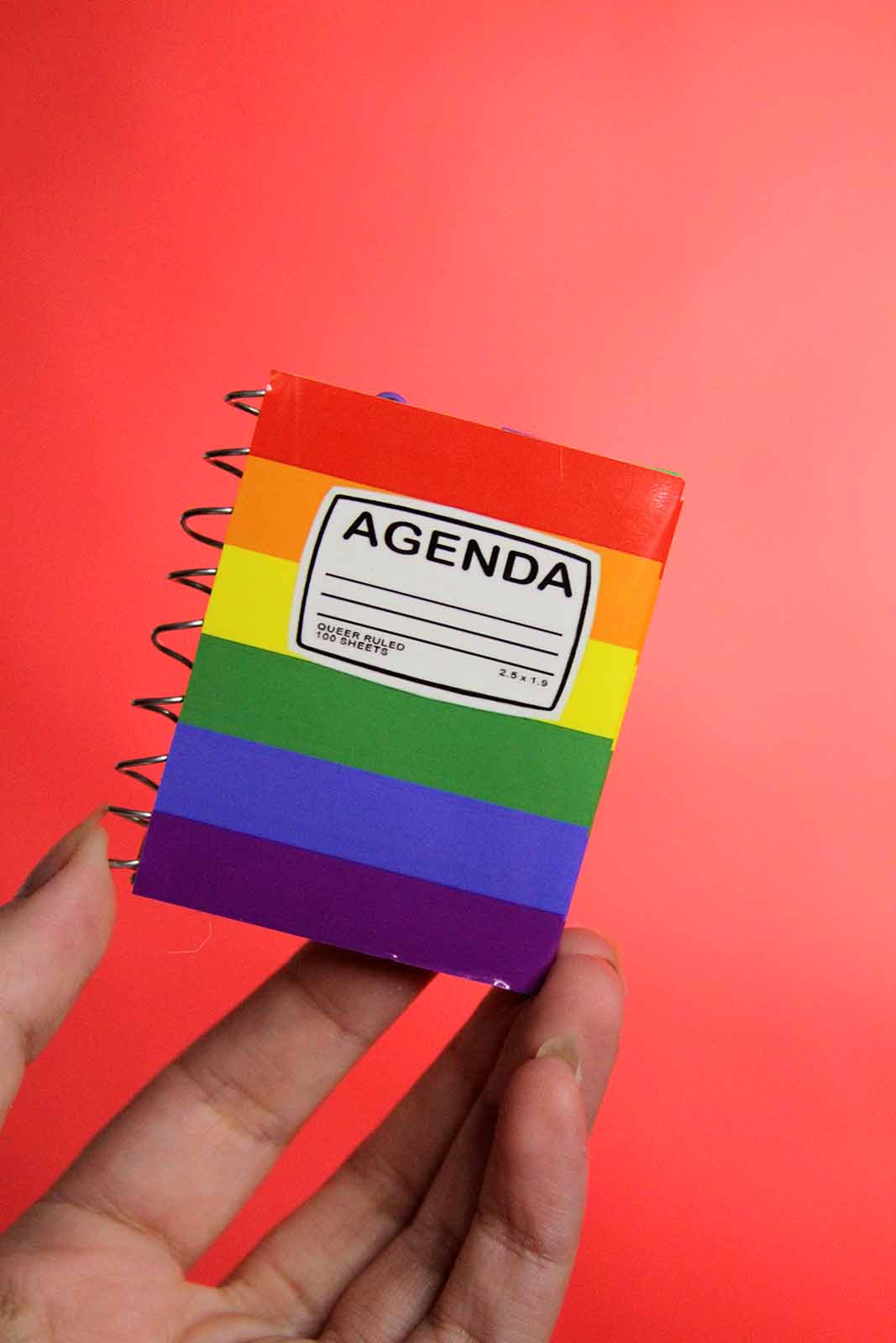 Gay Agenda Ornament 