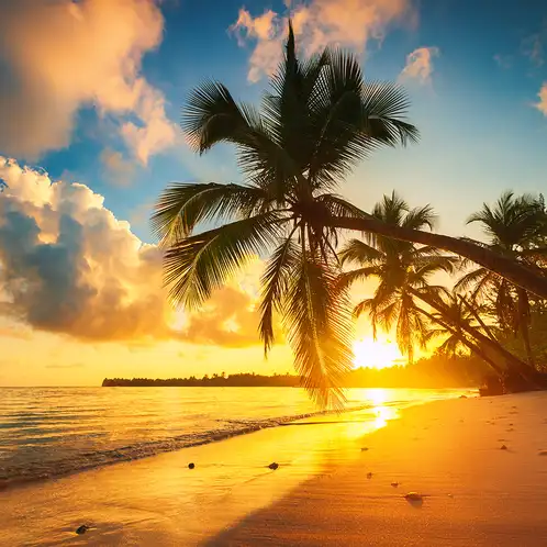 Summer Scented Wax Melts in Clamshell Packaging