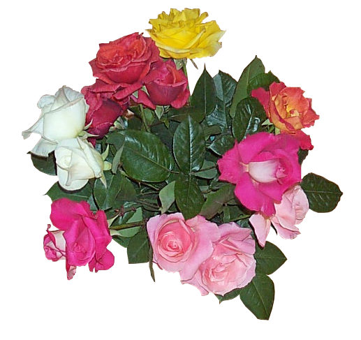 Floral Scented Body Spray/Perfumes