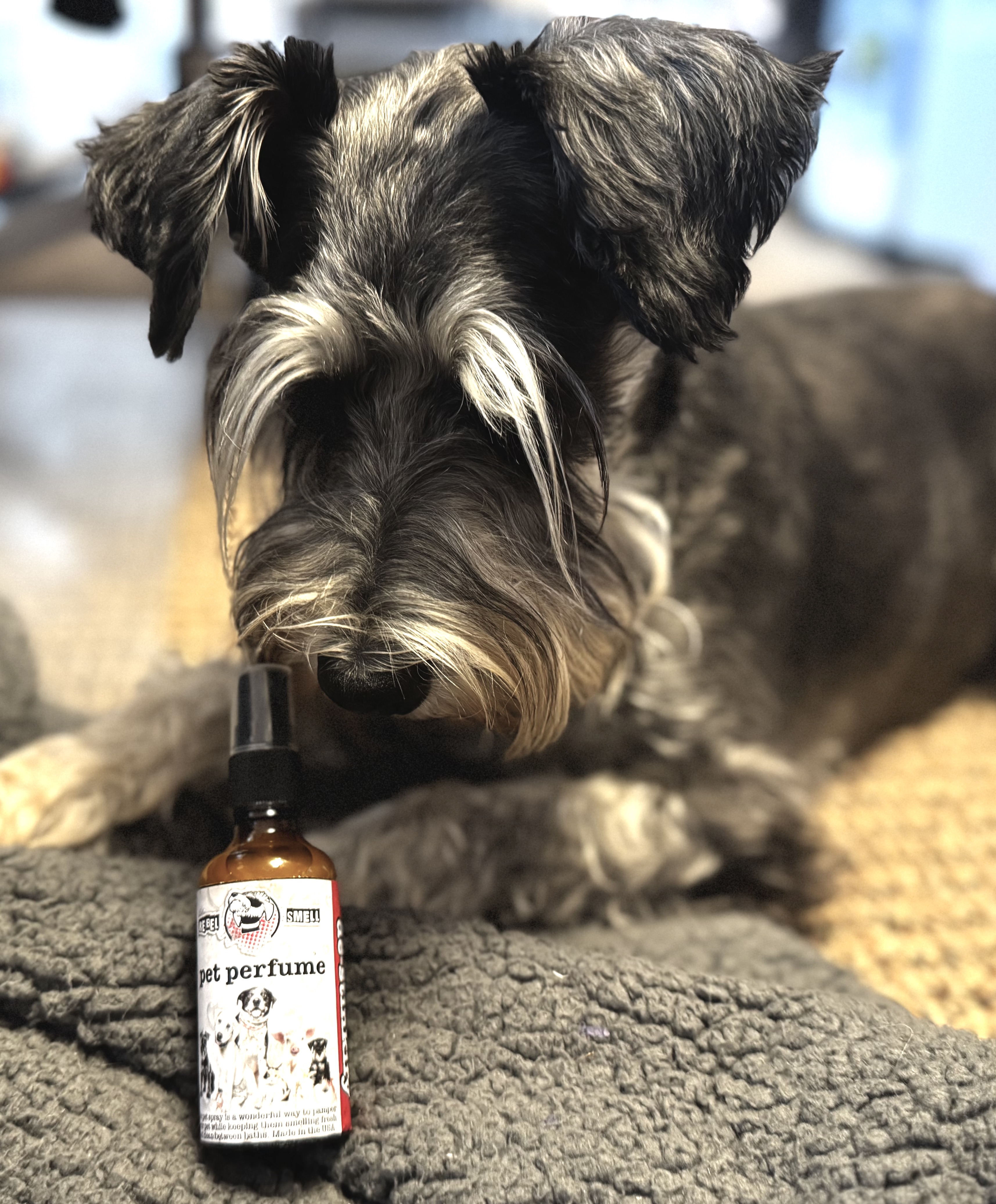 De-Stinkify Pet Perfume