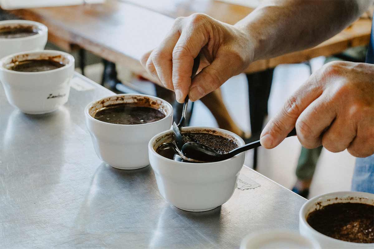 La cata de café con el nuevo protocolo SCA (CVA)