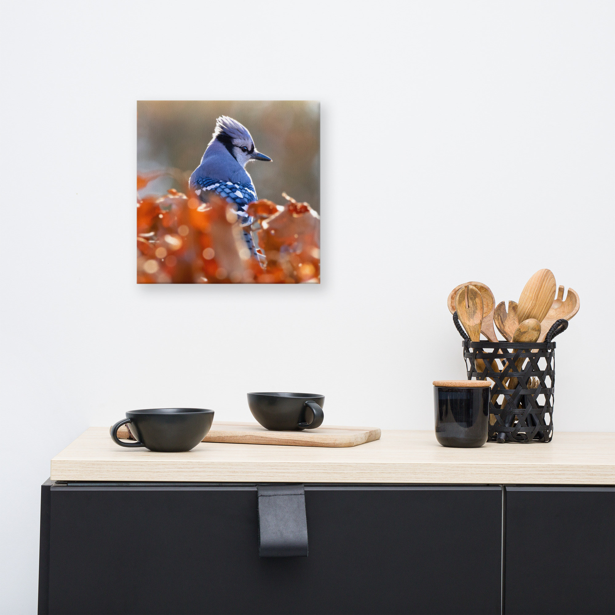 Blue Jay Canvas