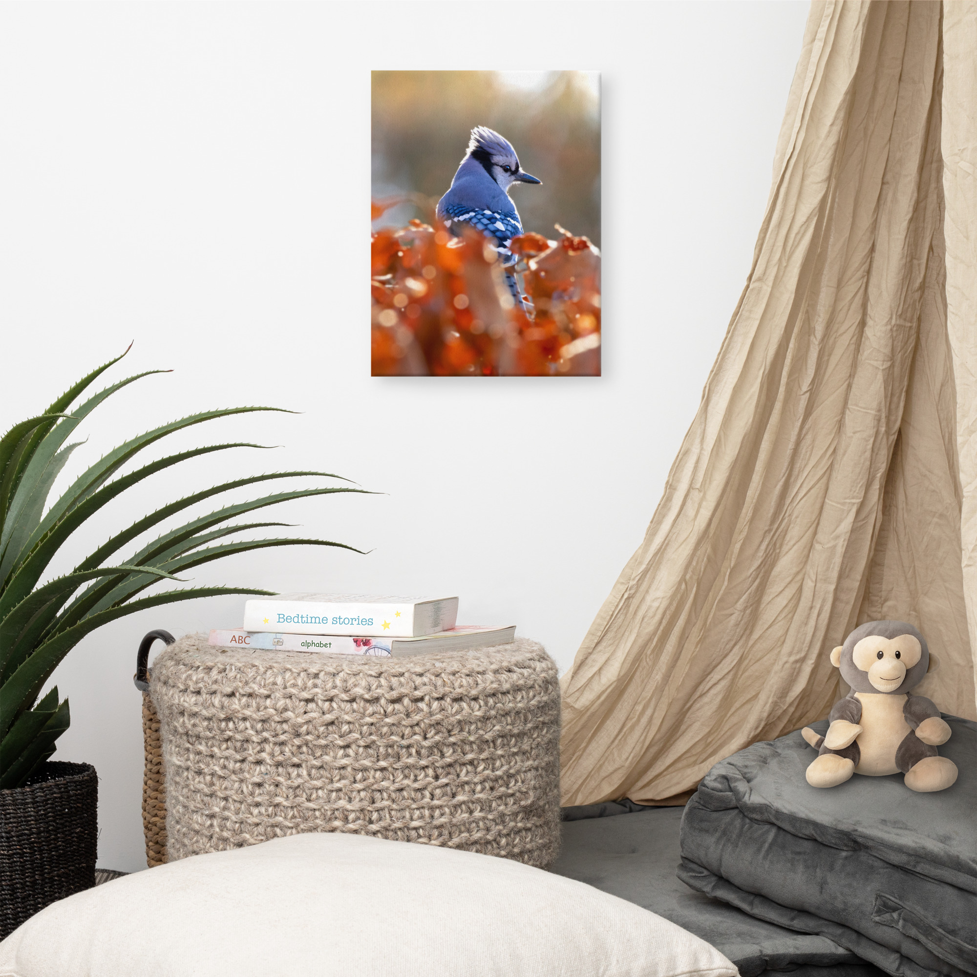 Blue Jay Canvas