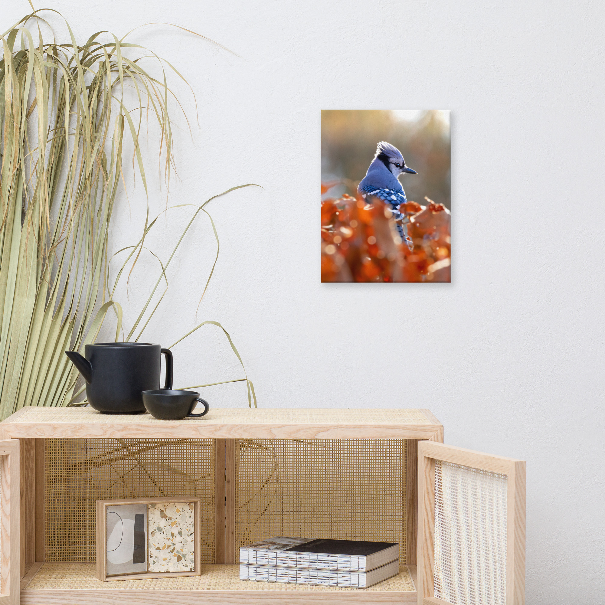 Blue Jay Canvas