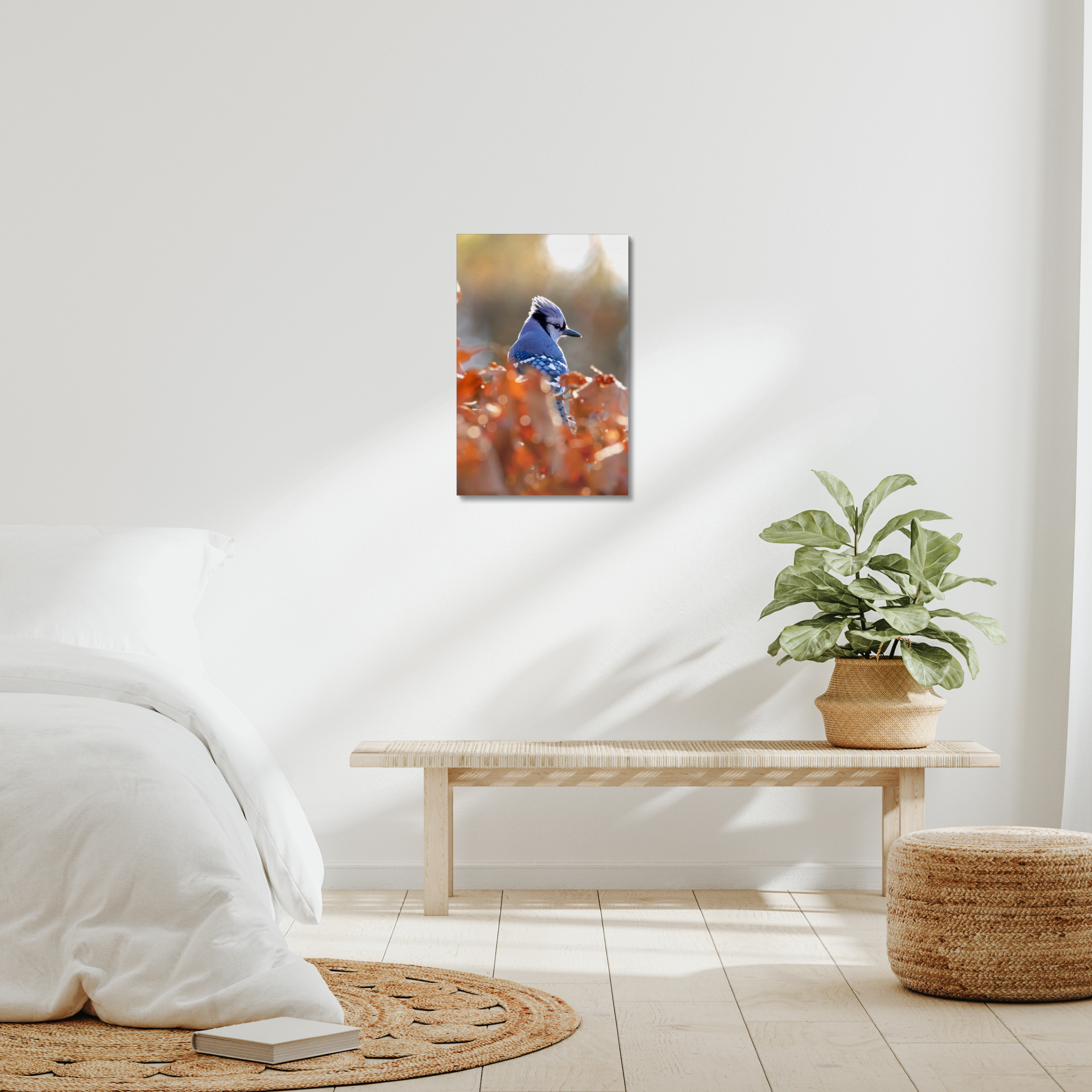 Blue Jay Canvas