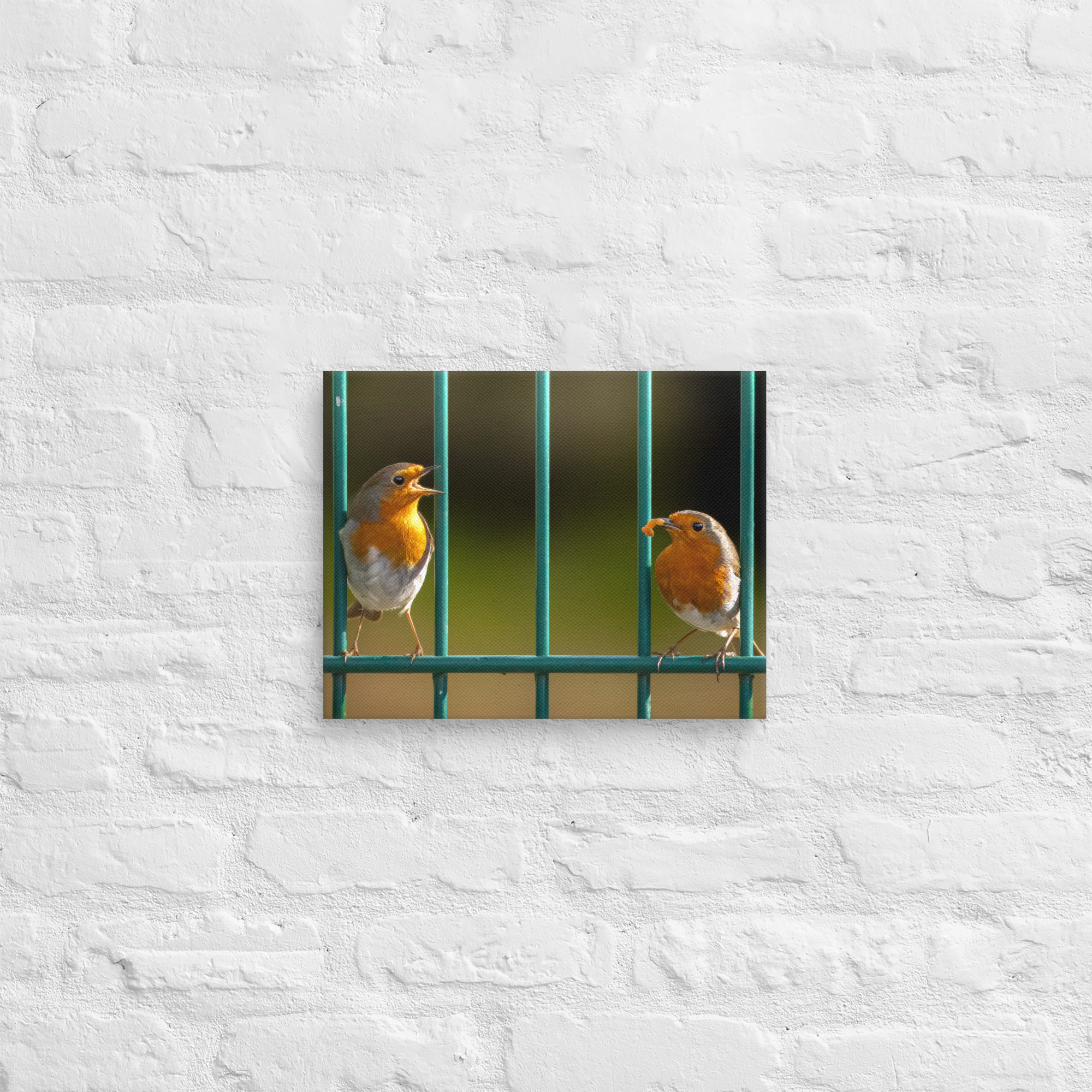 Robin Pair Canvas