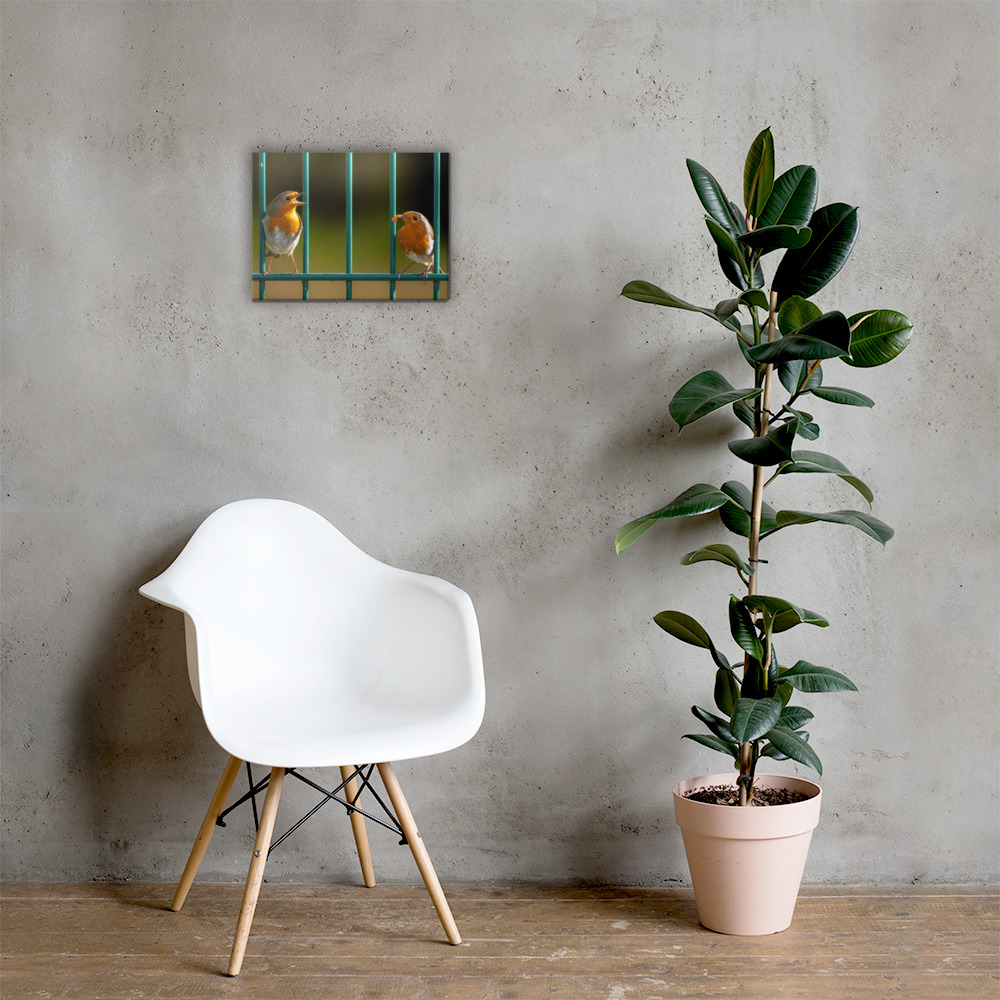 Robin Pair Canvas