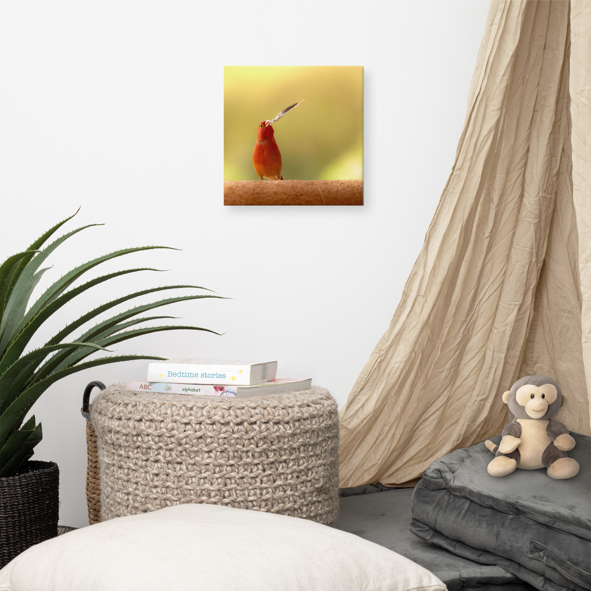 Firefinch Courting Canvas