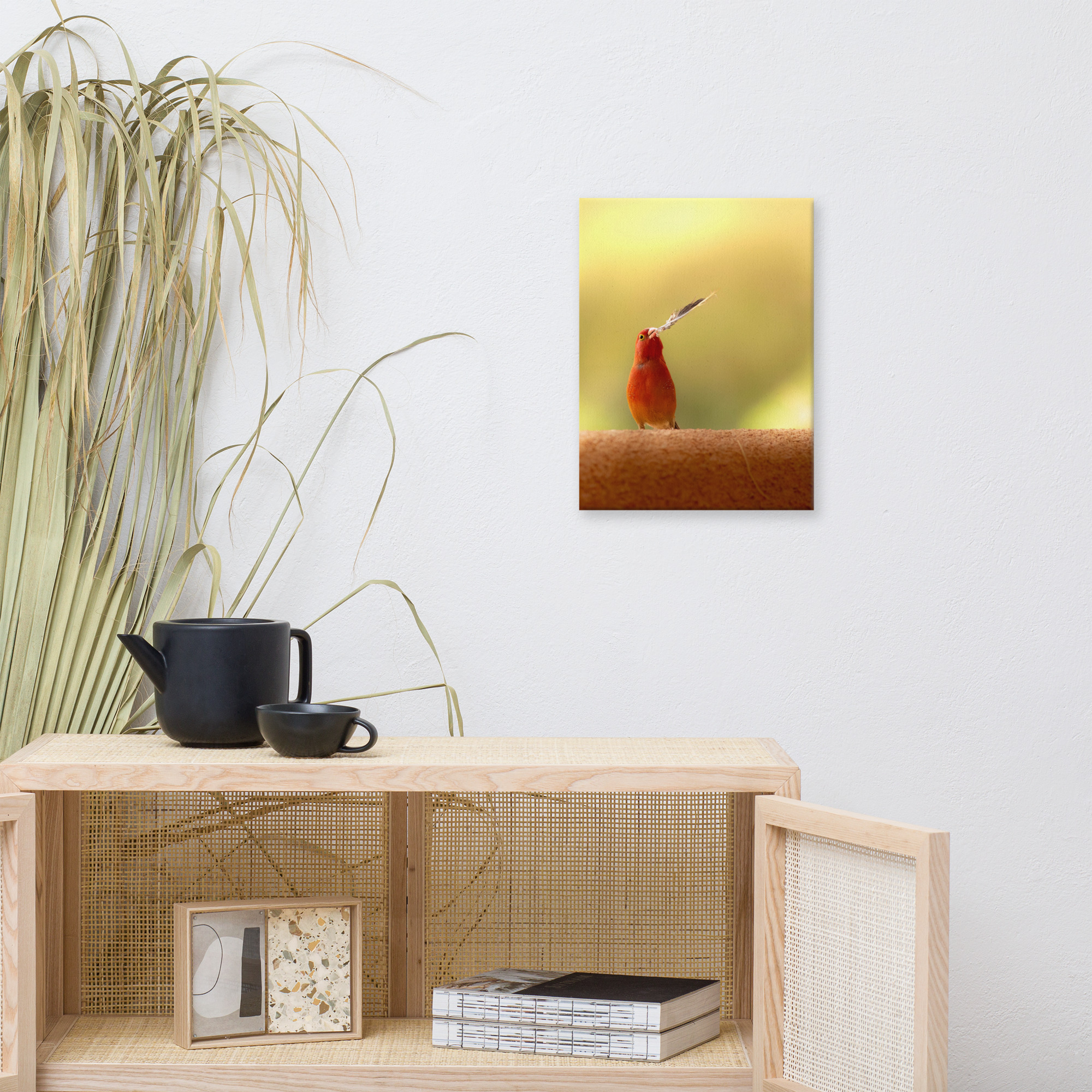 Firefinch Courting Canvas