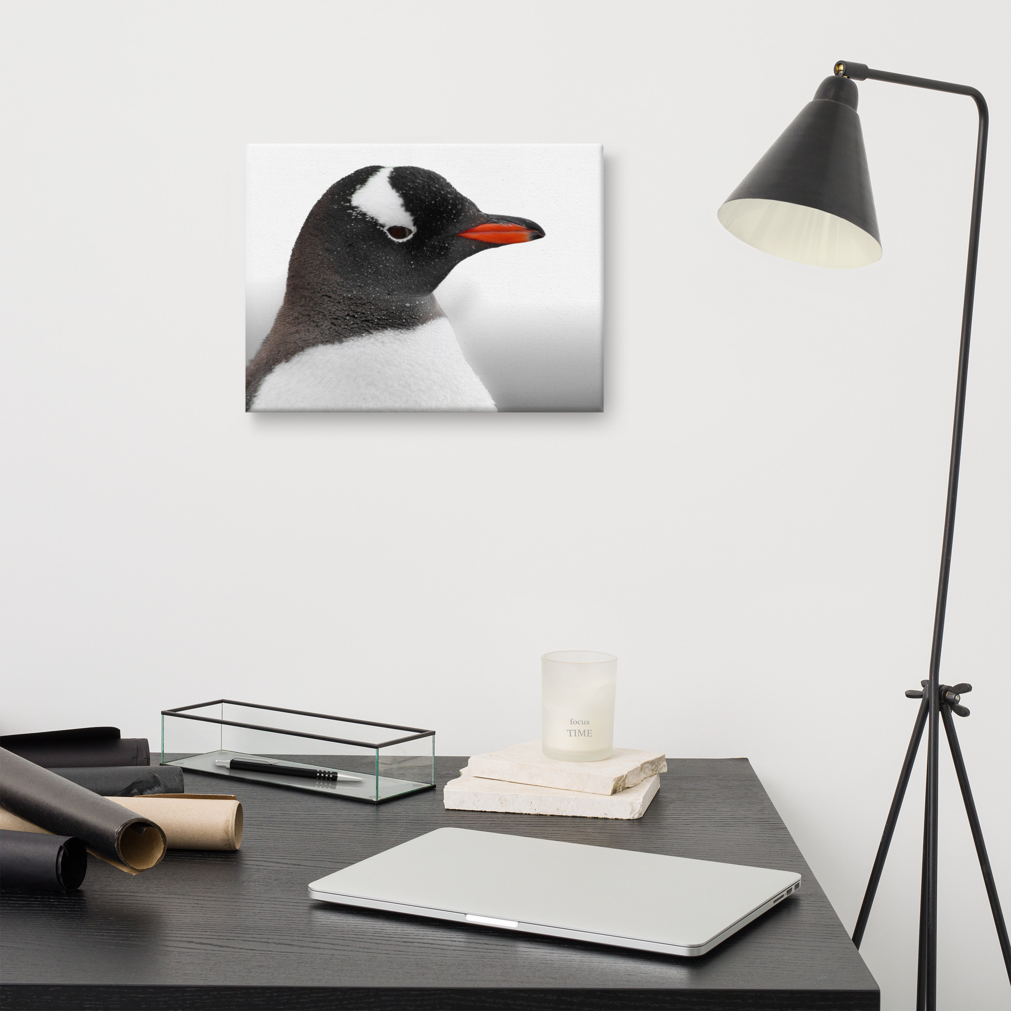 Gentoo Penguin Canvas