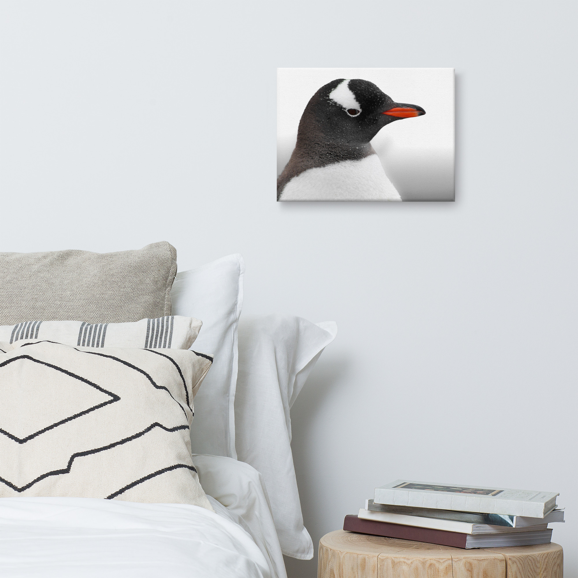 Gentoo Penguin Canvas