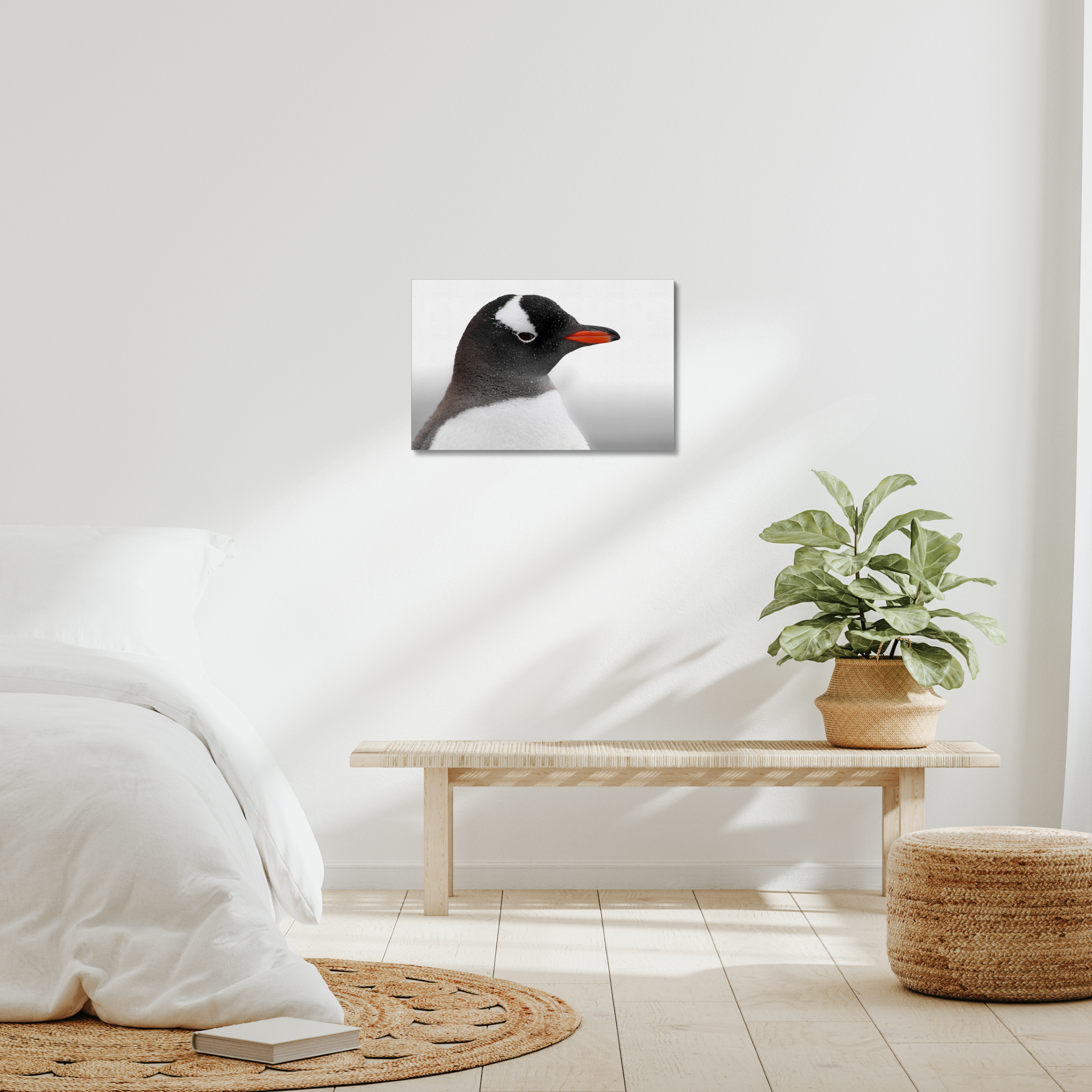Gentoo Penguin Canvas