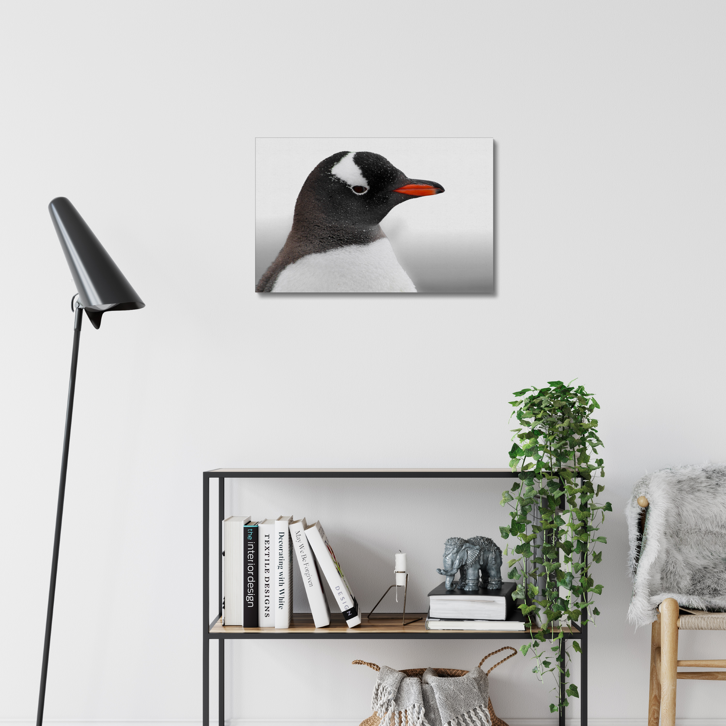Gentoo Penguin Canvas