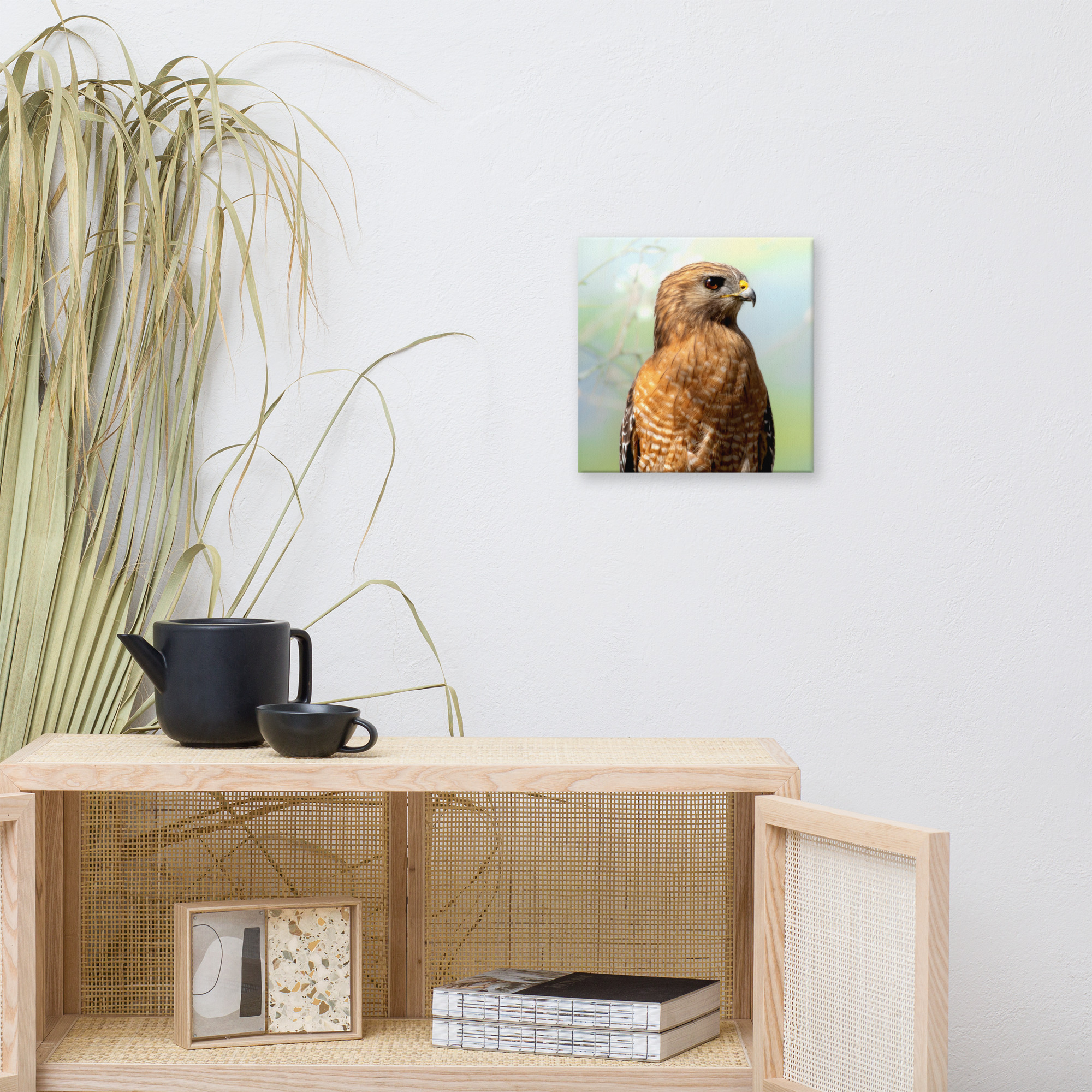 Hawk Canvas