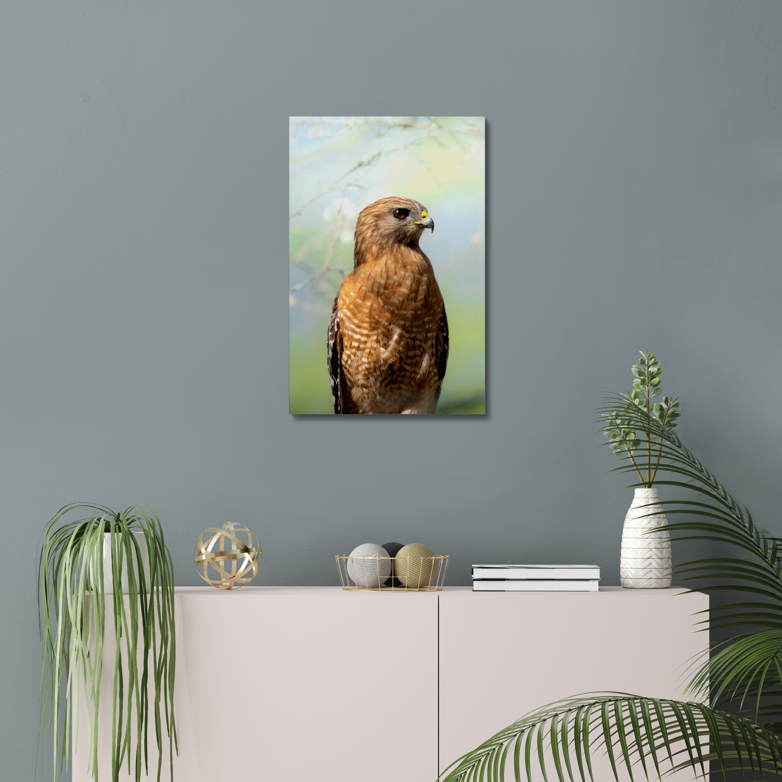 Hawk Canvas
