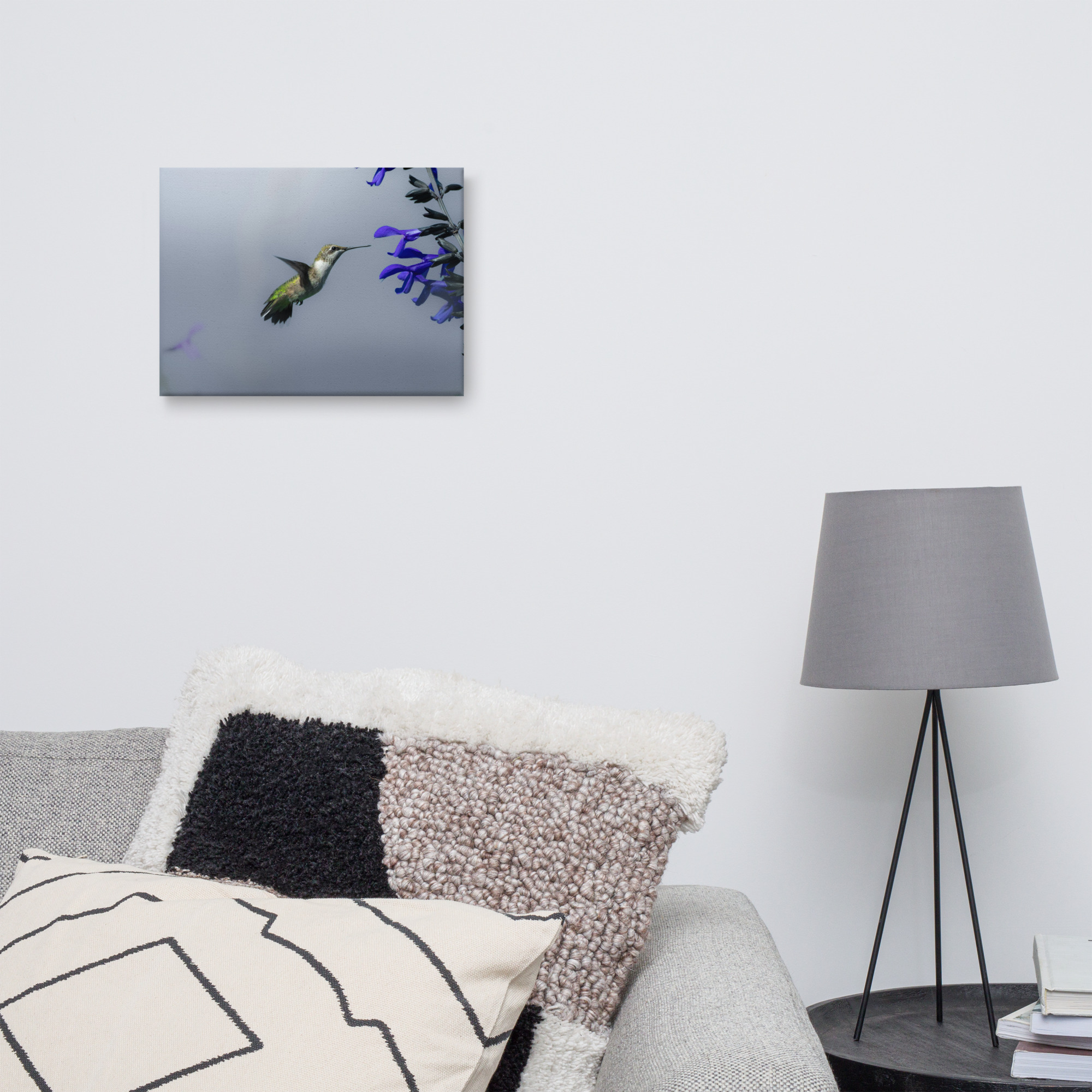 Hummingbird Canvas