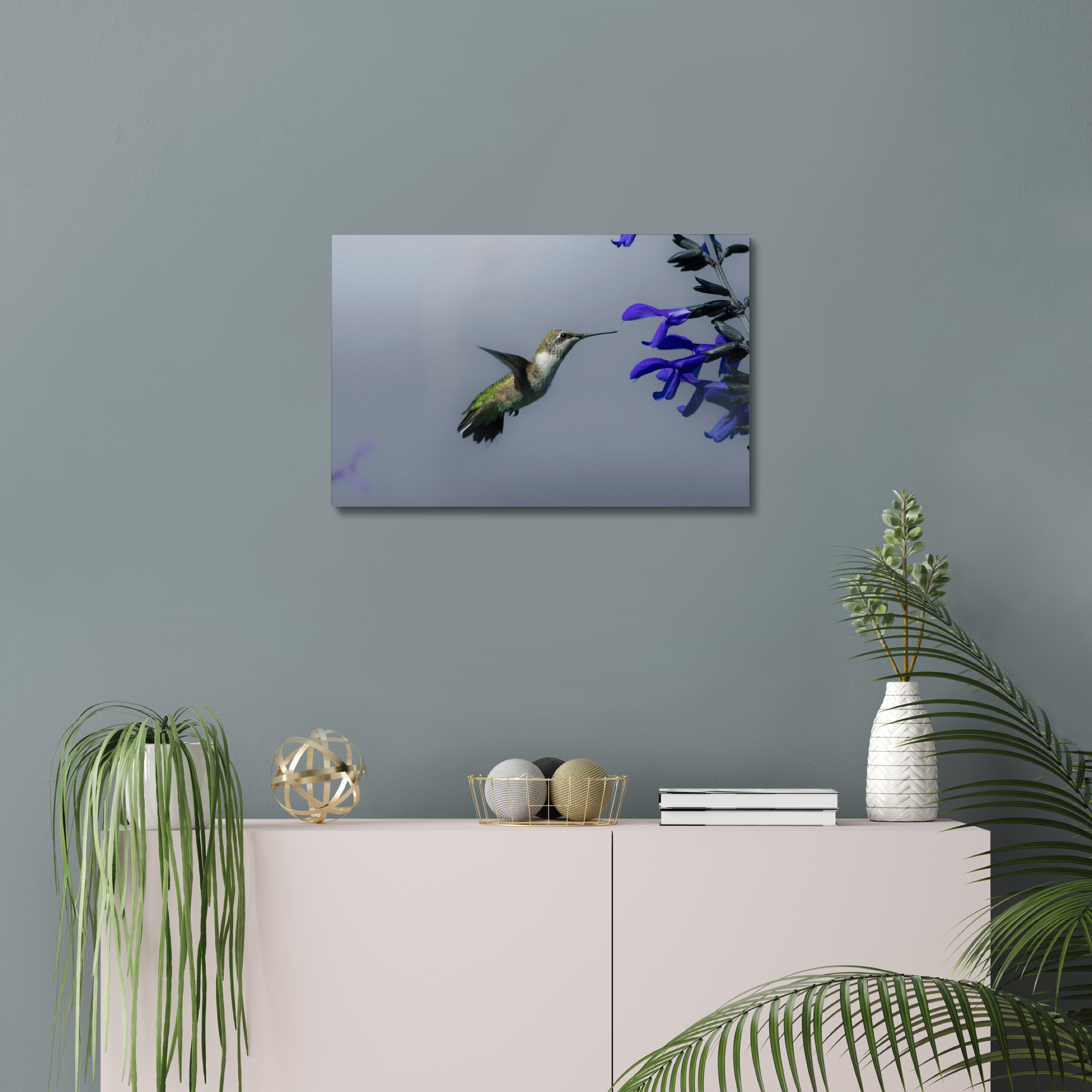 Hummingbird Canvas