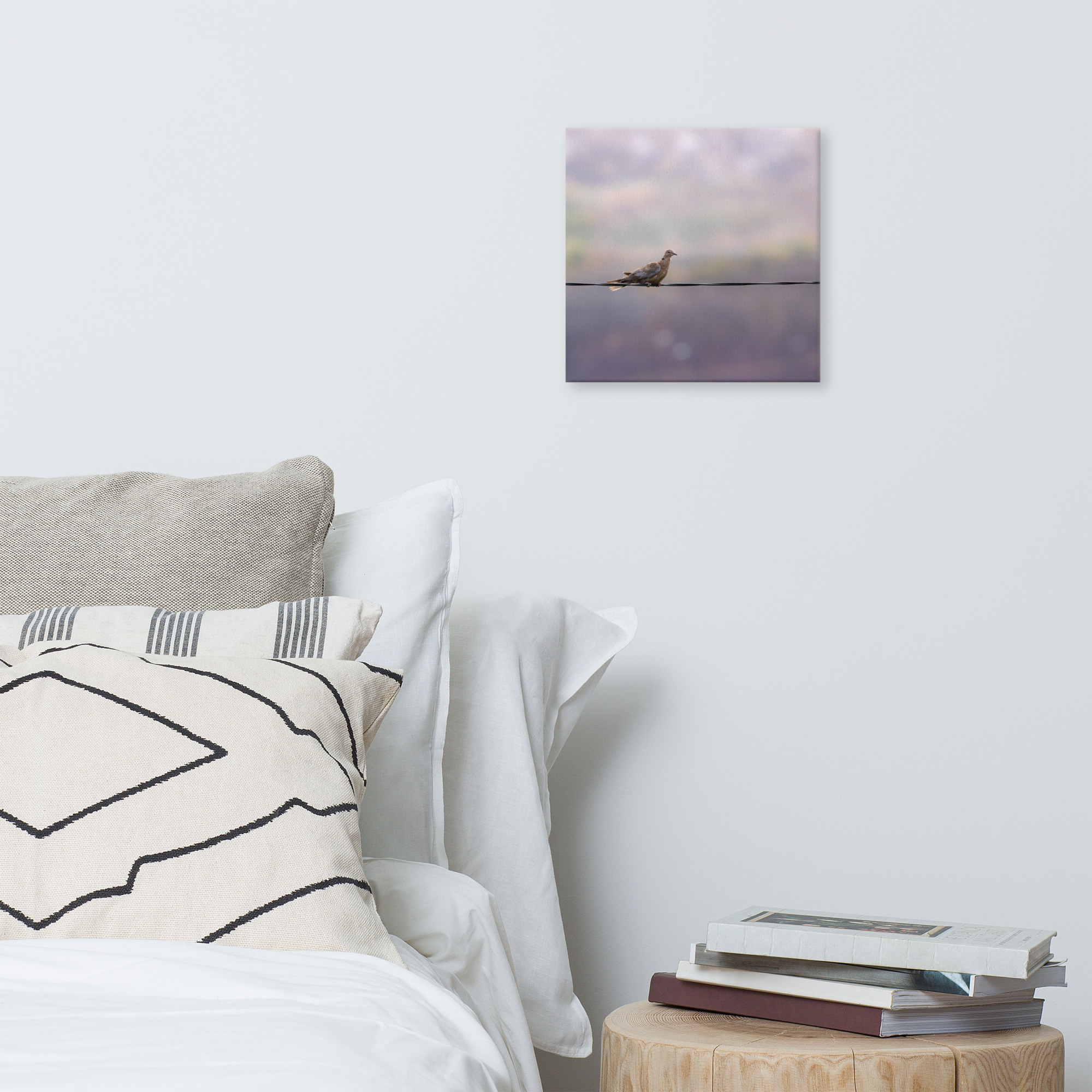 Dove on a Wire Canvas