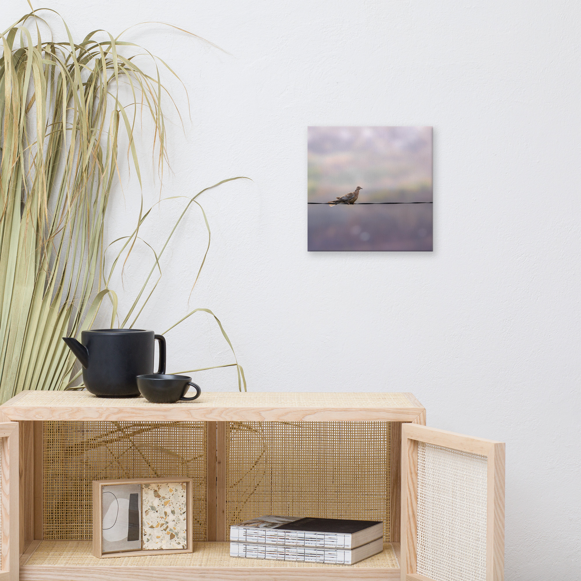 Dove on a Wire Canvas