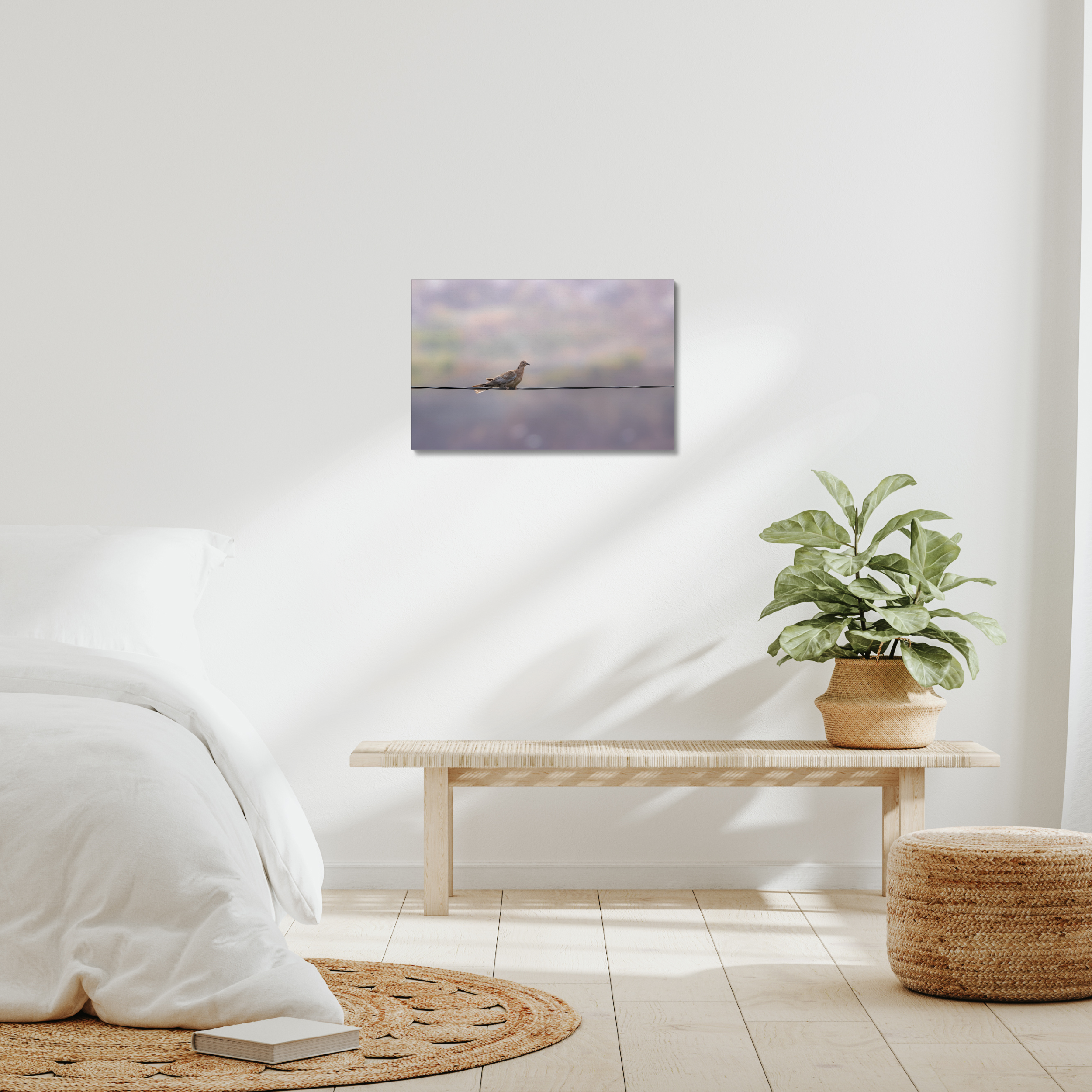 Dove on a Wire Canvas