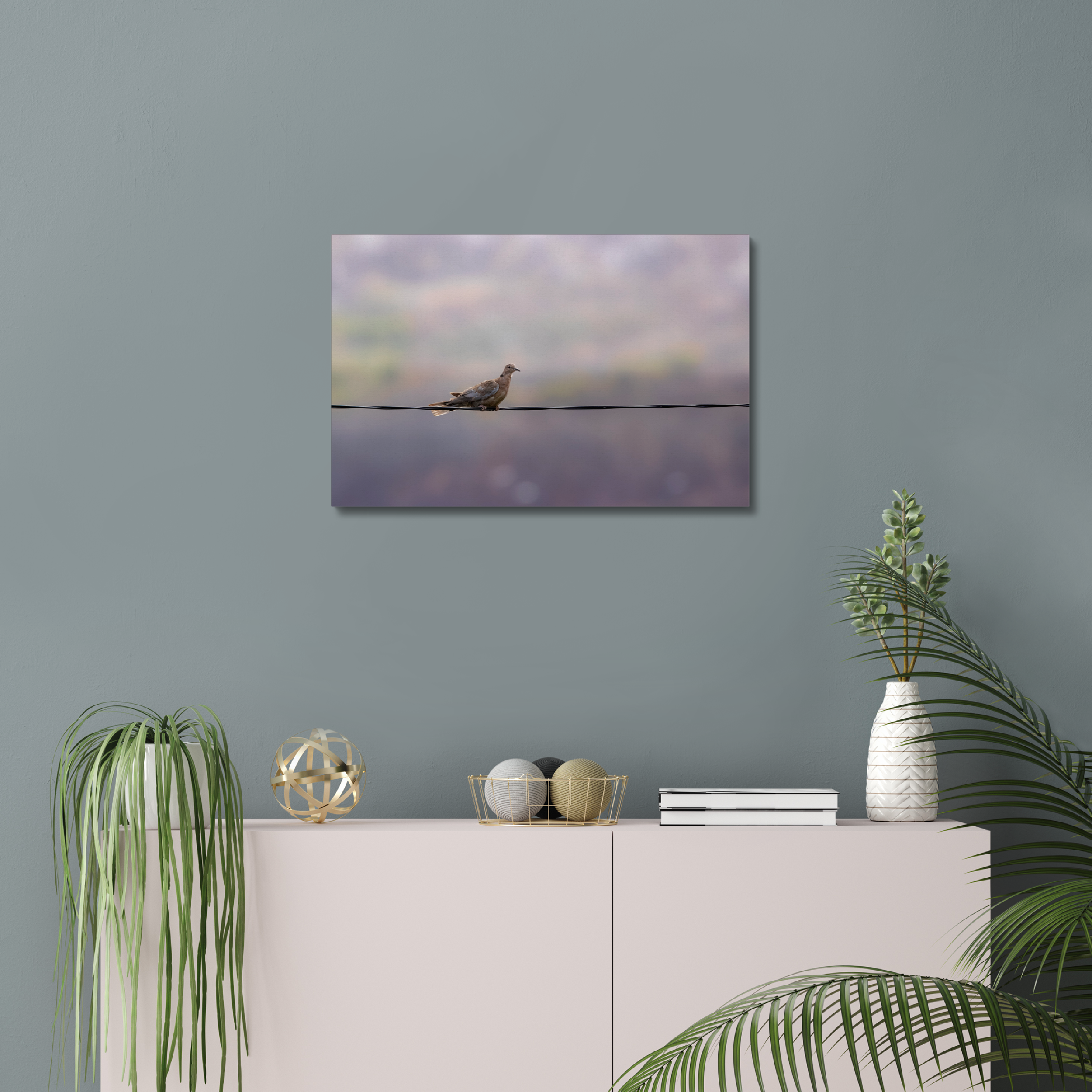 Dove on a Wire Canvas
