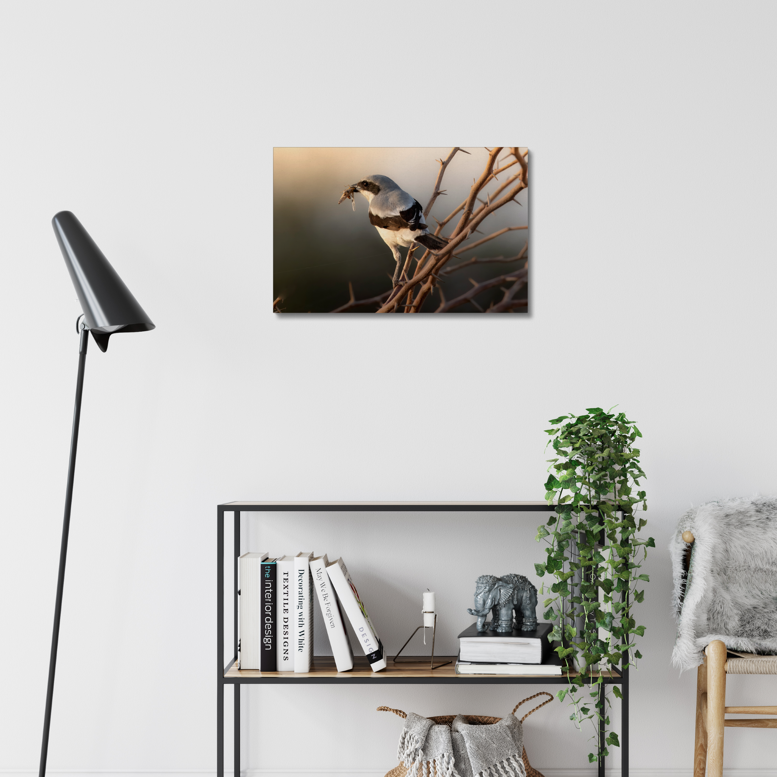 Shrike with Breakfast Canvas