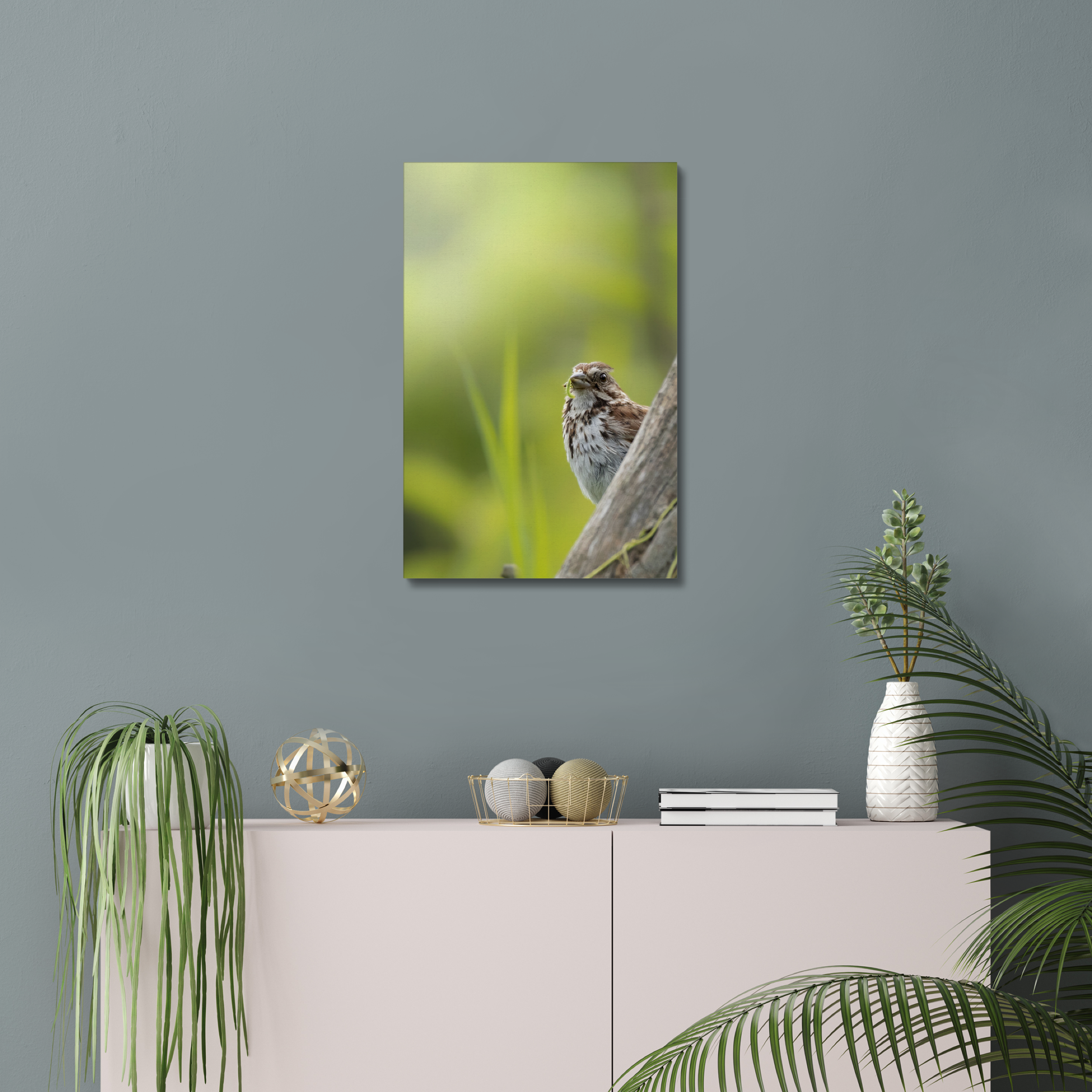 Sparrow with a Snack Canvas