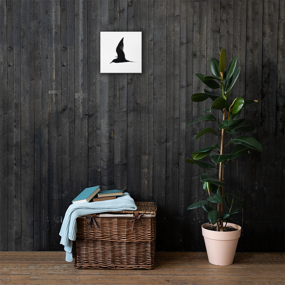 Tern Silhouette Canvas