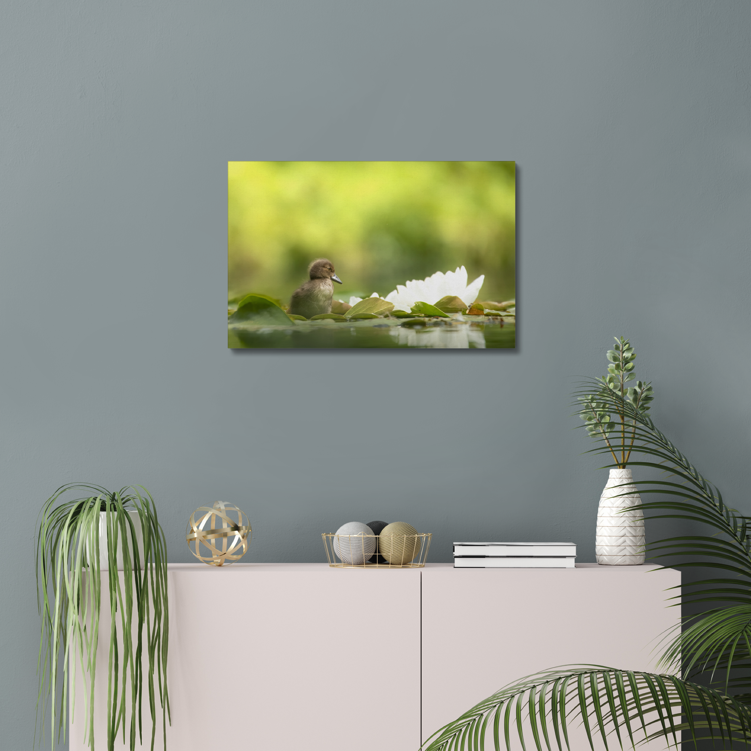 Tufted Duckling Canvas